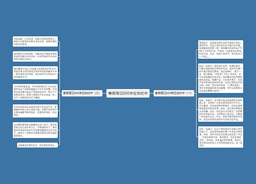 寒假周记600字左右初中