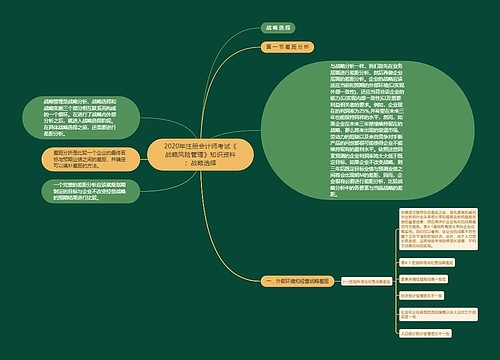 2020年注册会计师考试《战略风险管理》知识资料：战略选择