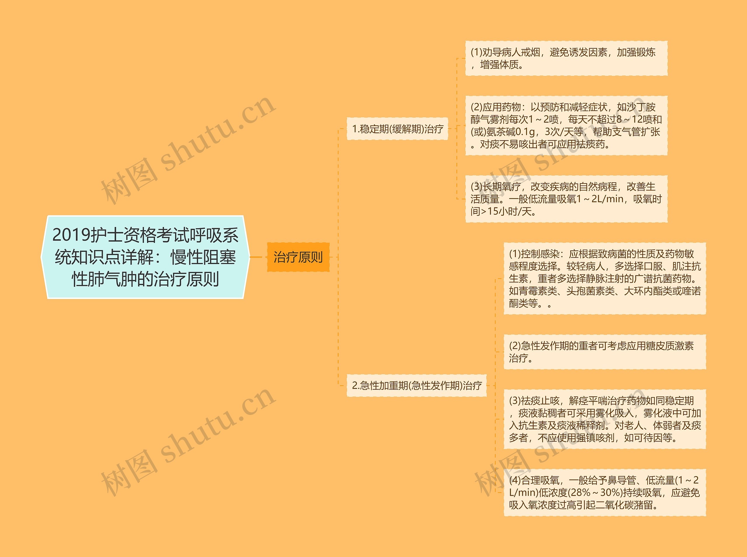 2019护士资格考试呼吸系统知识点详解：慢性阻塞性肺气肿的治疗原则