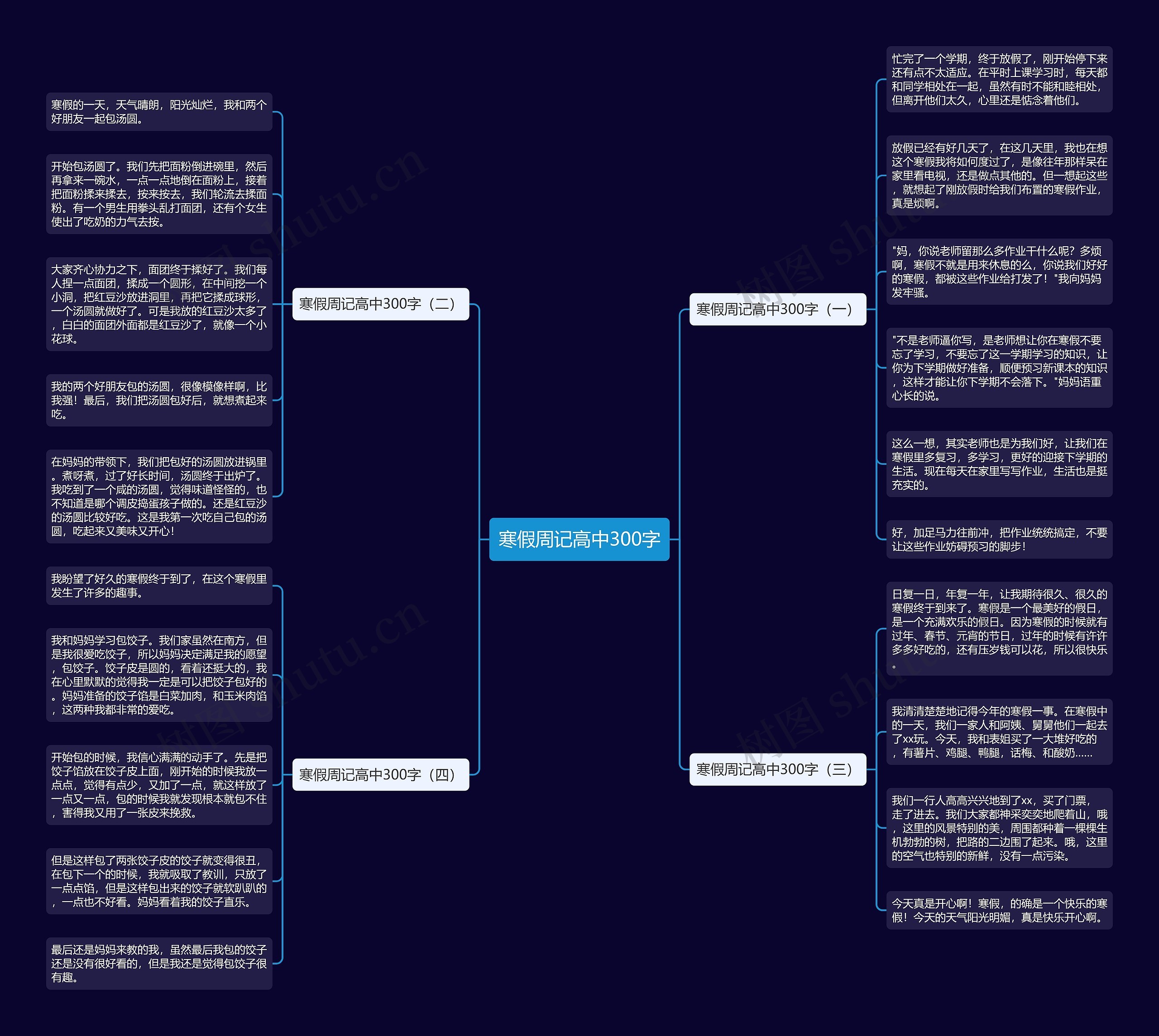 寒假周记高中300字思维导图