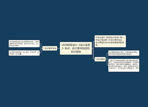 2020初级会计《会计实务》考点：会计基本假设和会计基础