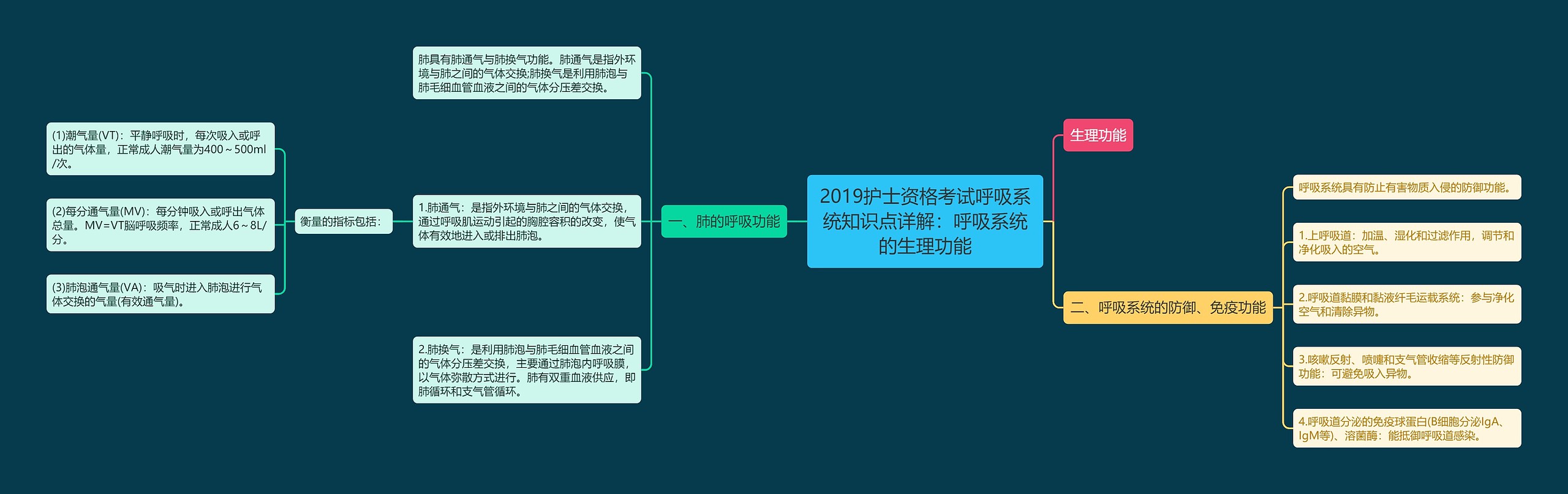 2019护士资格考试呼吸系统知识点详解：呼吸系统的生理功能