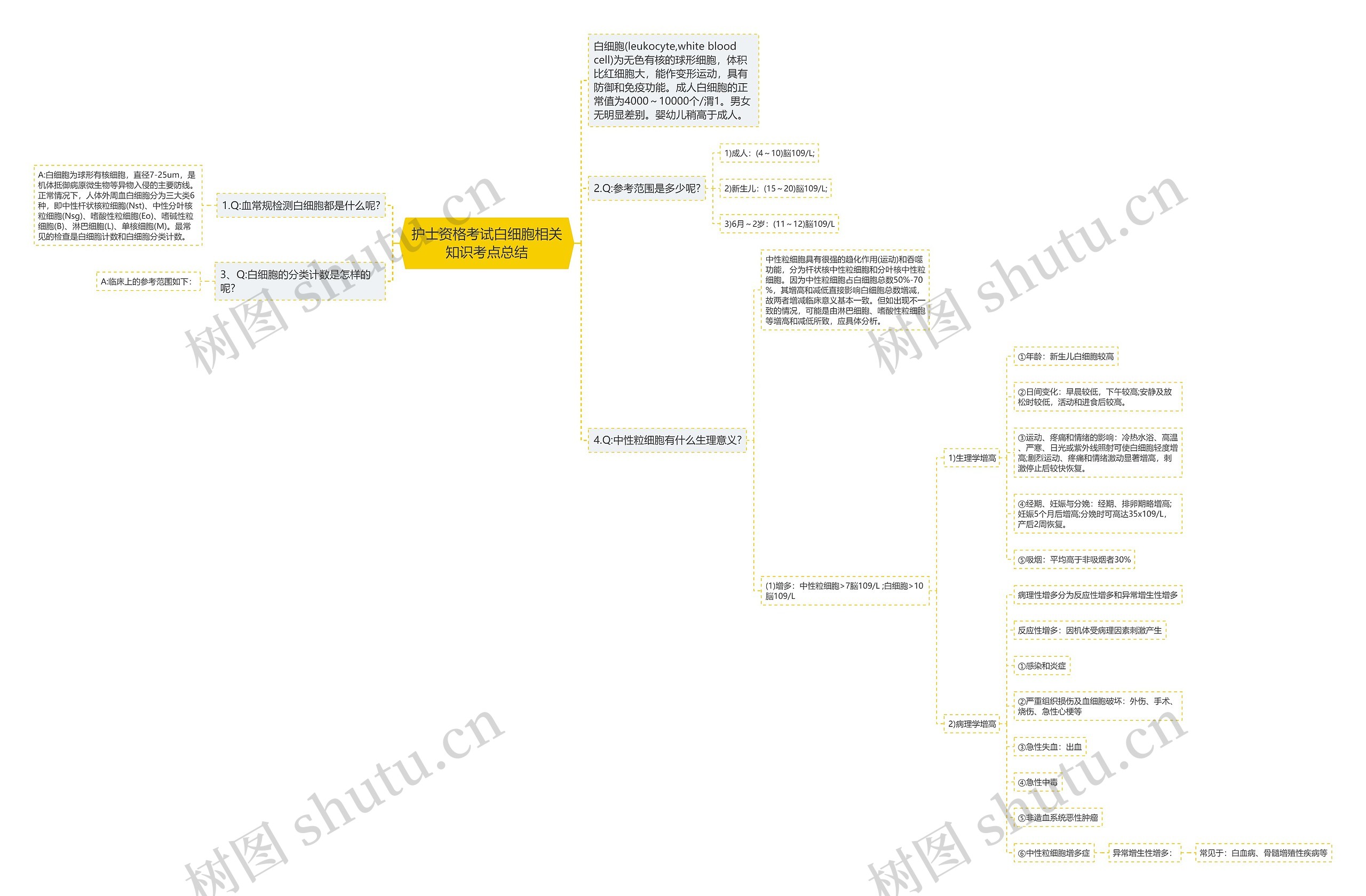 护士资格考试白细胞相关知识考点总结思维导图
