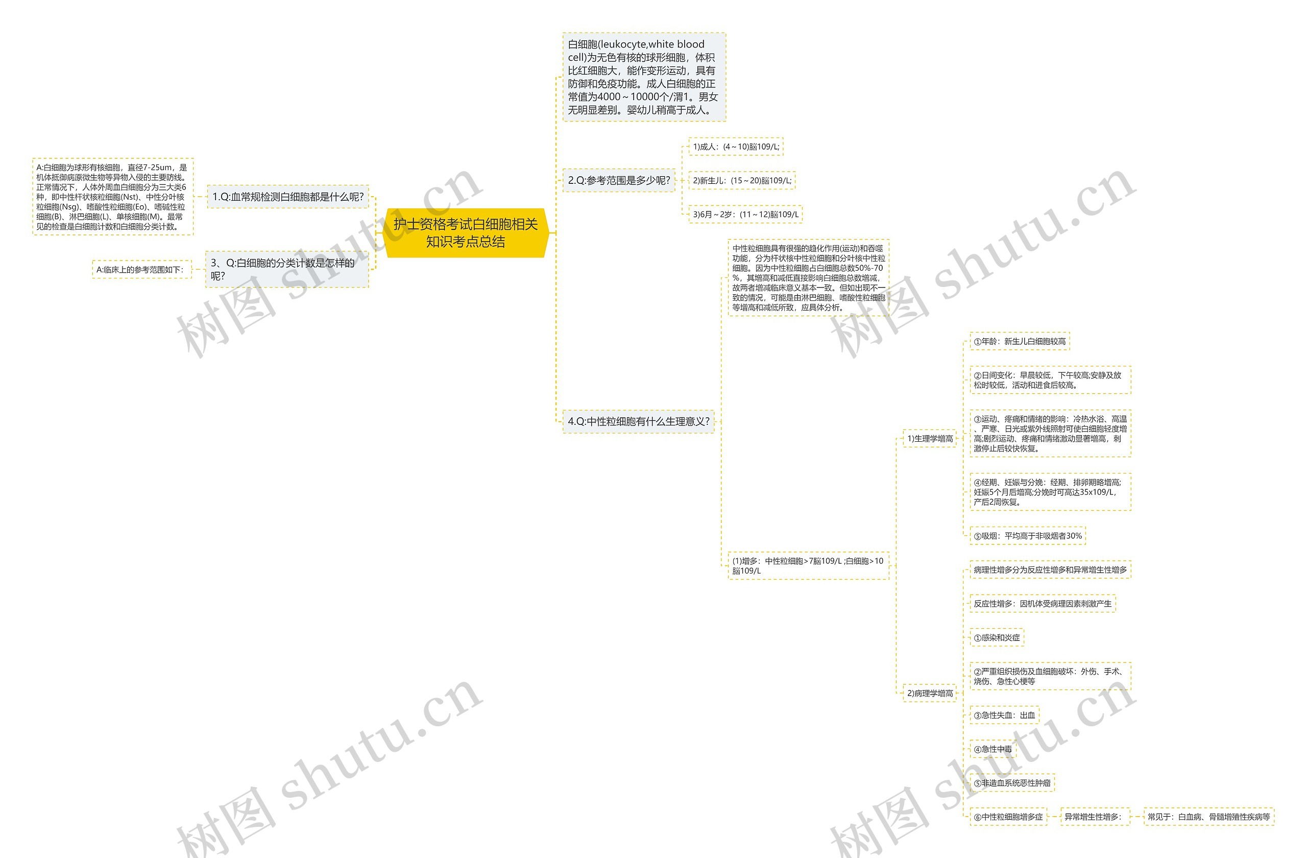 护士资格考试白细胞相关知识考点总结思维导图高清图 护士资格考试白细胞相关知识考点总结思维导图