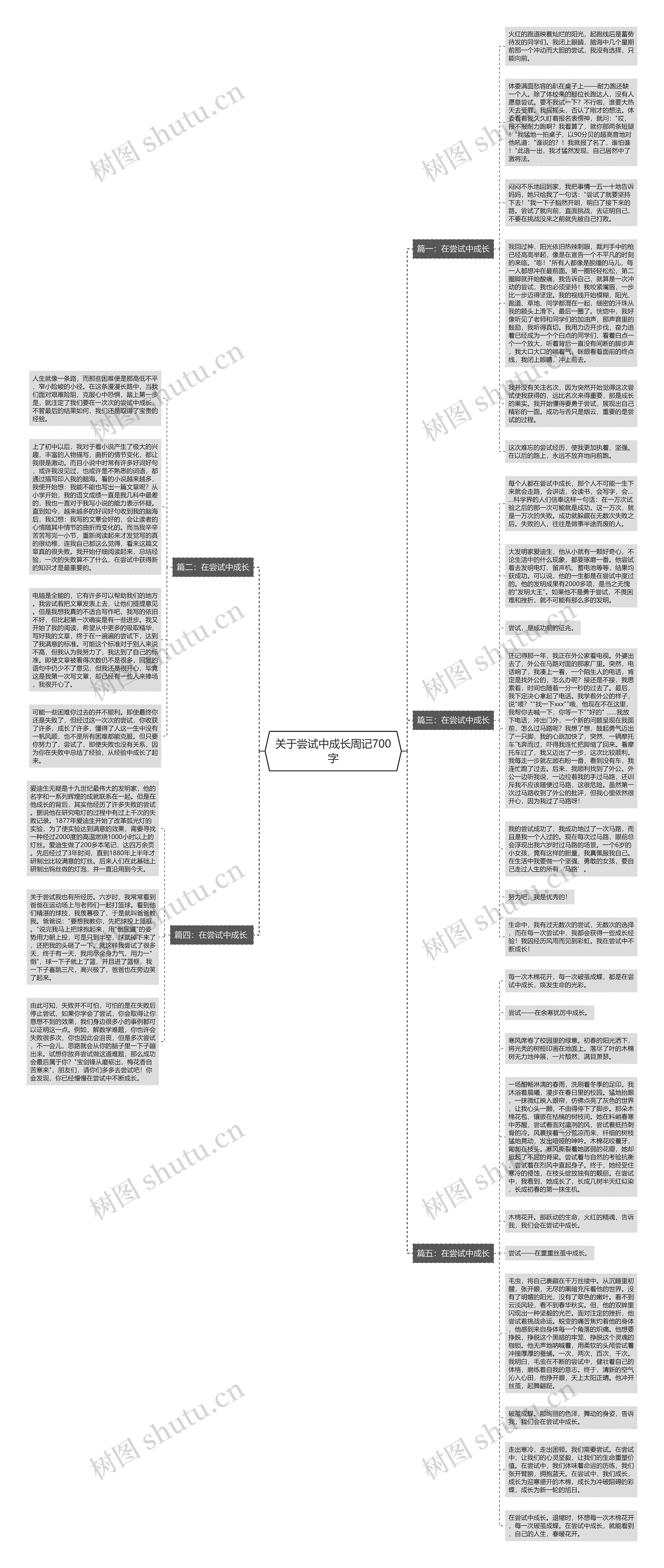 关于尝试中成长周记700字思维导图