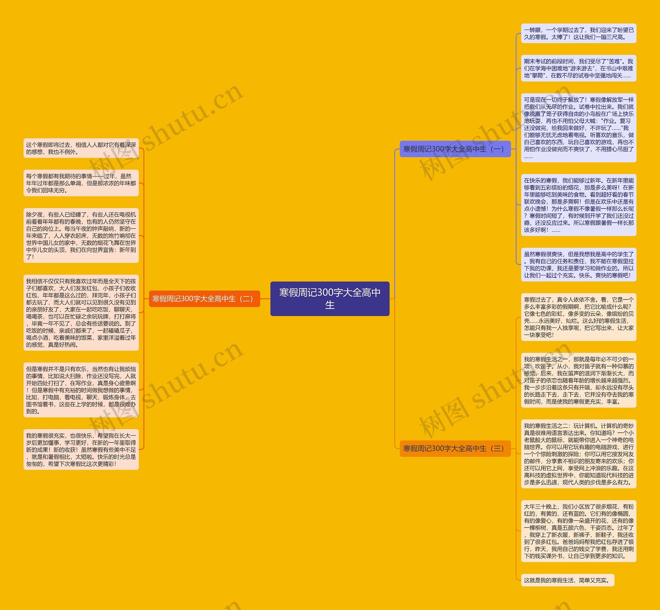 寒假周记300字大全高中生思维导图