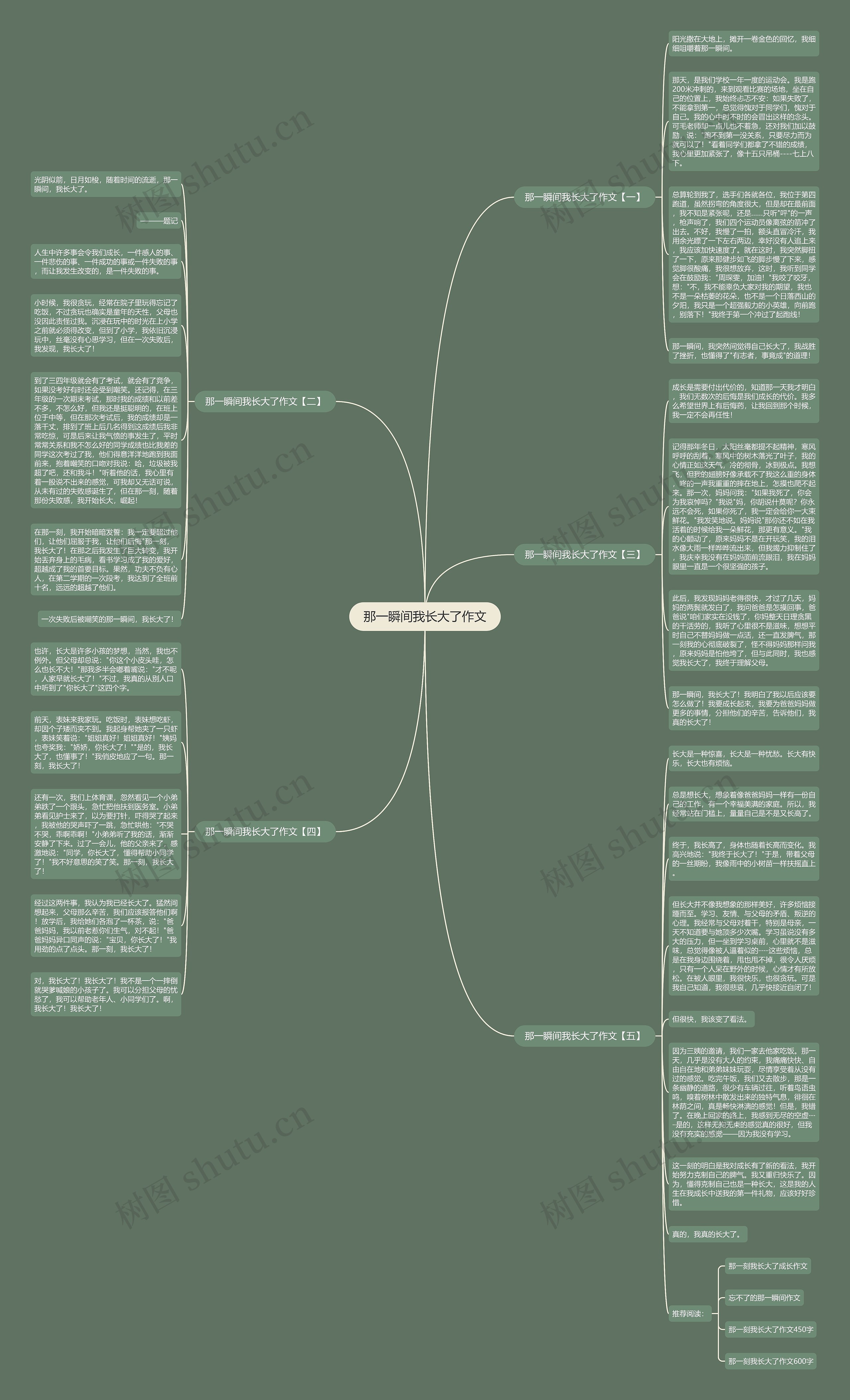 那一瞬间我长大了作文思维导图