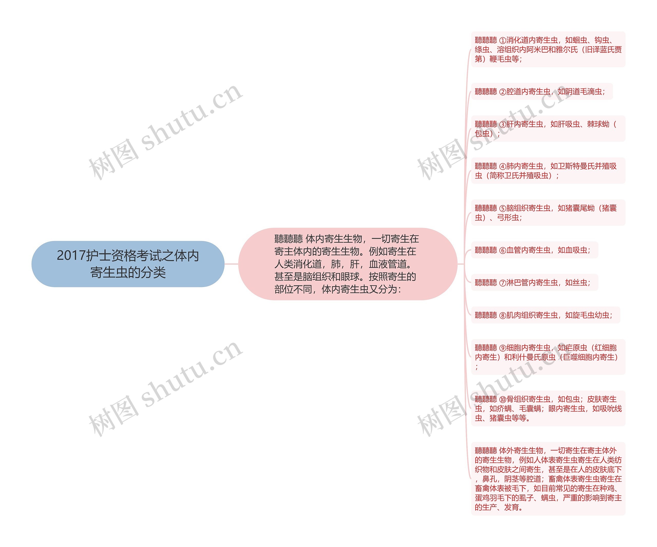 2017护士资格考试之体内寄生虫的分类思维导图