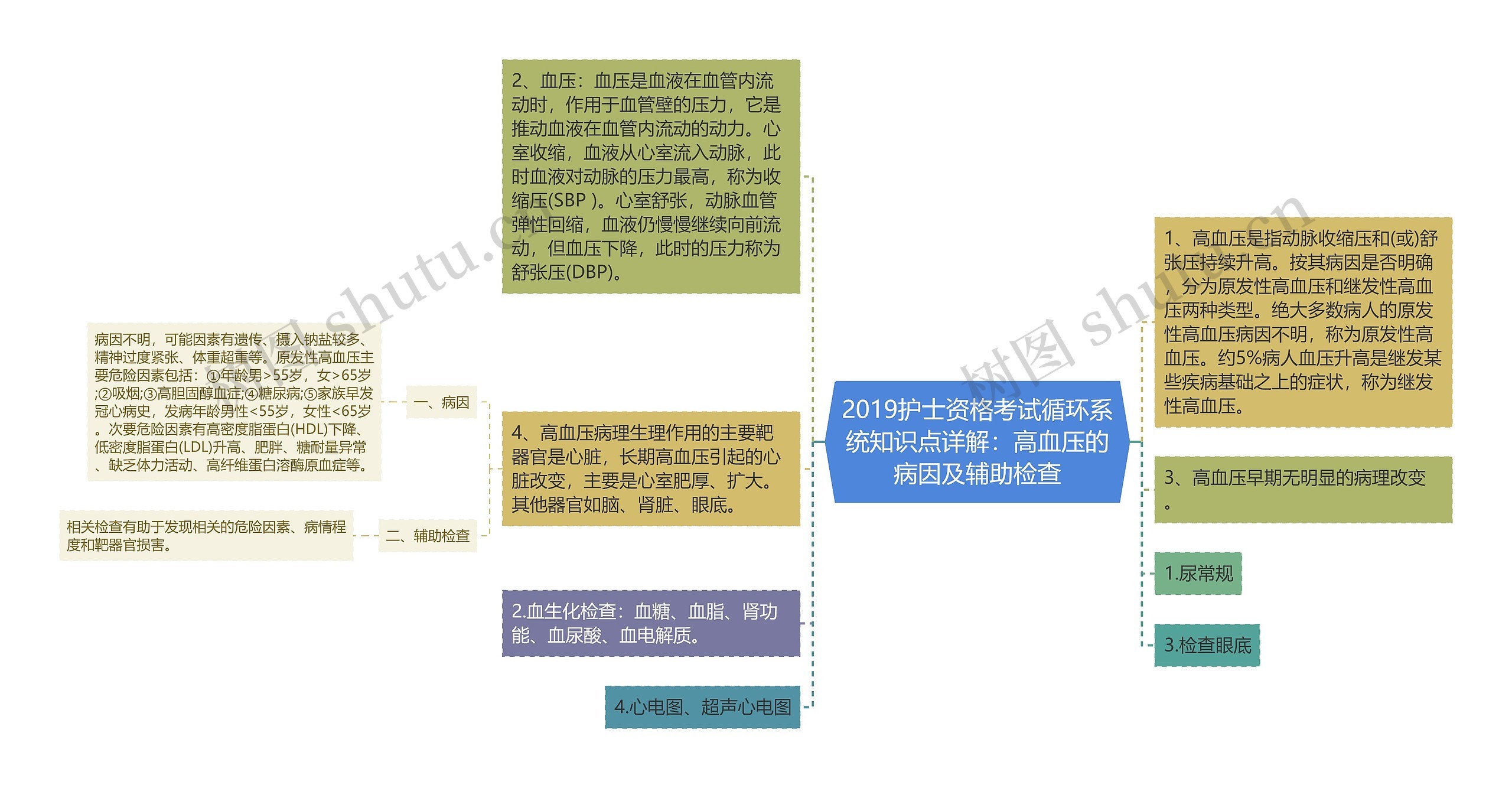 2019护士资格考试循环系统知识点详解：高血压的病因及辅助检查思维导图