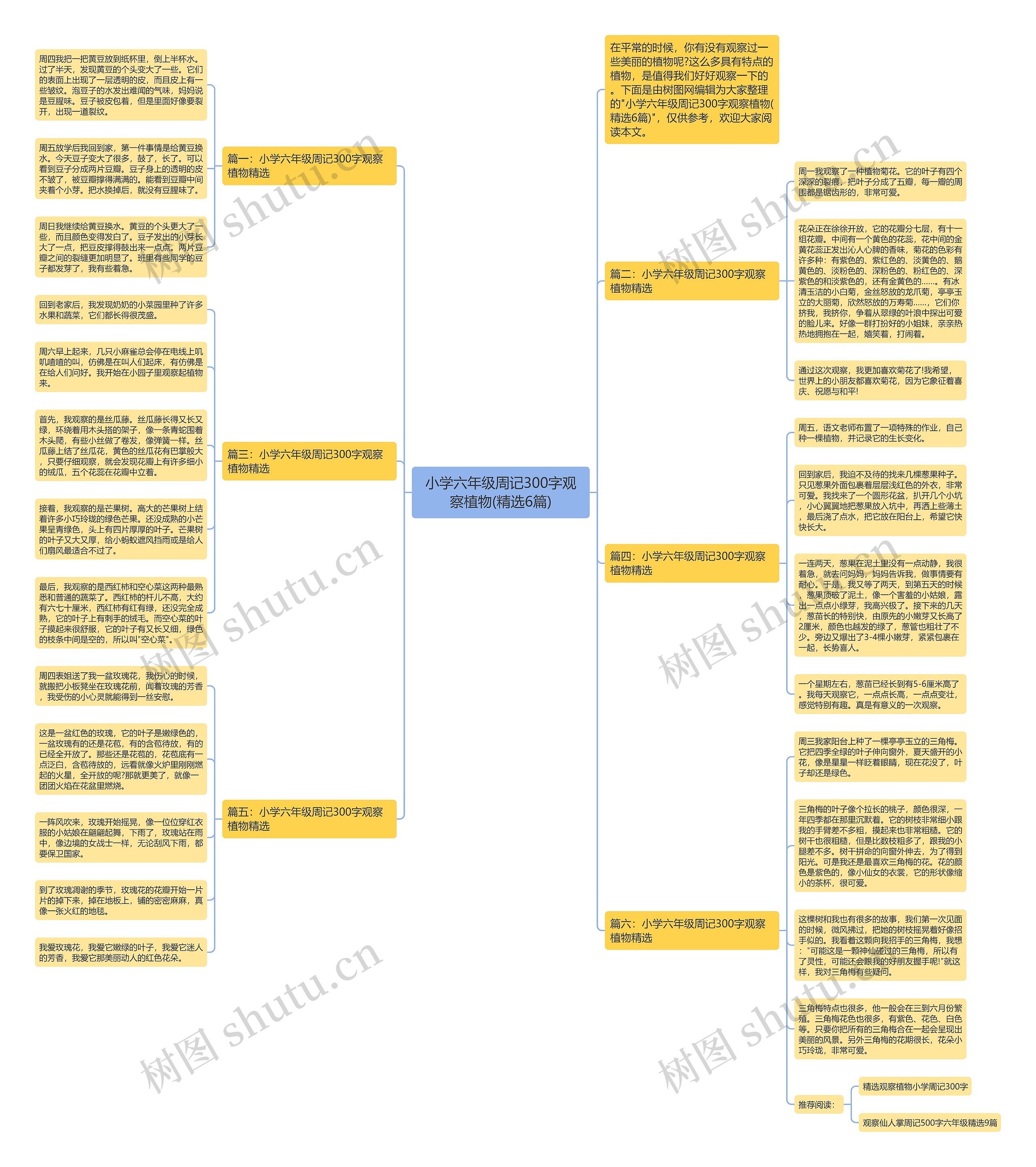 小学六年级周记300字观察植物(精选6篇)思维导图