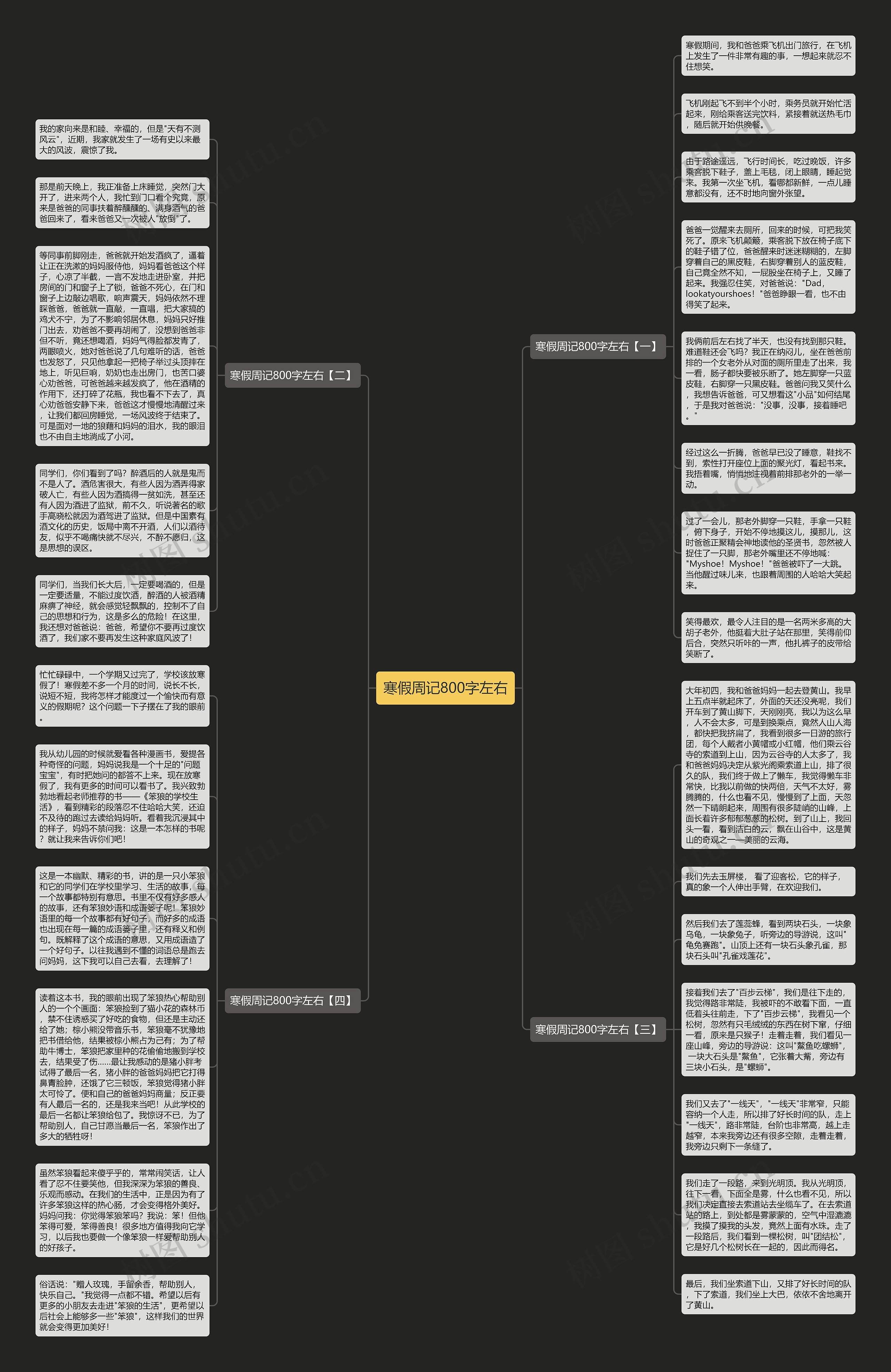 寒假周记800字左右思维导图