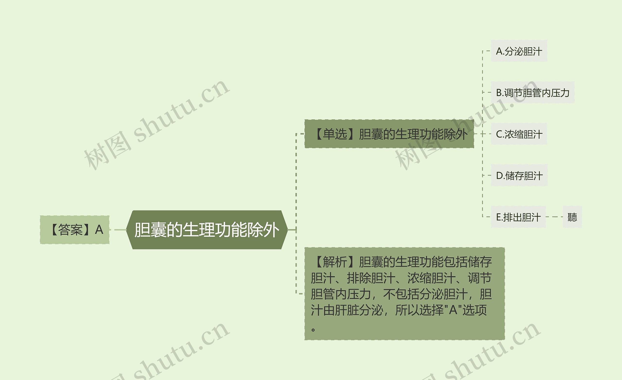 胆囊的生理功能除外思维导图