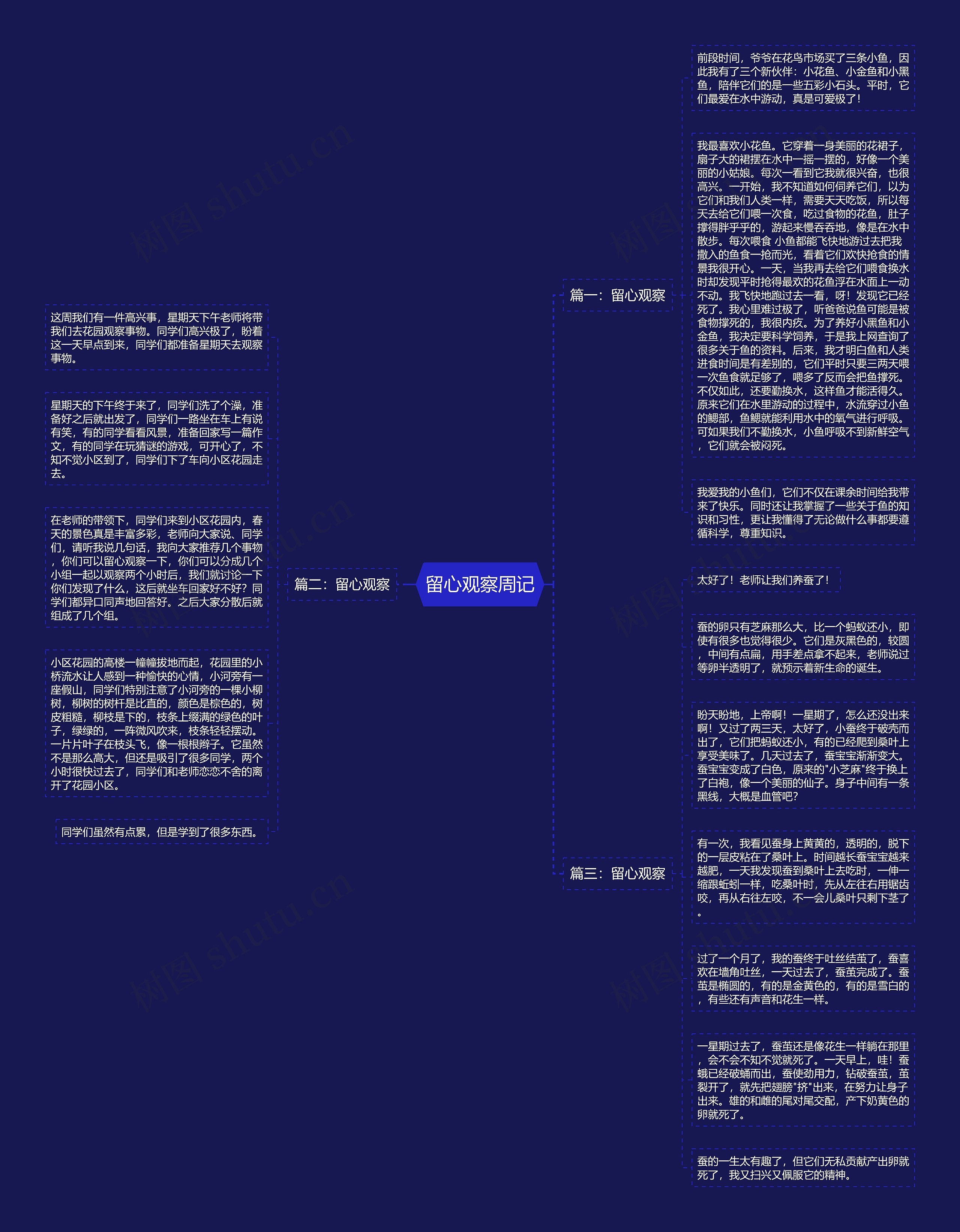 留心观察周记思维导图
