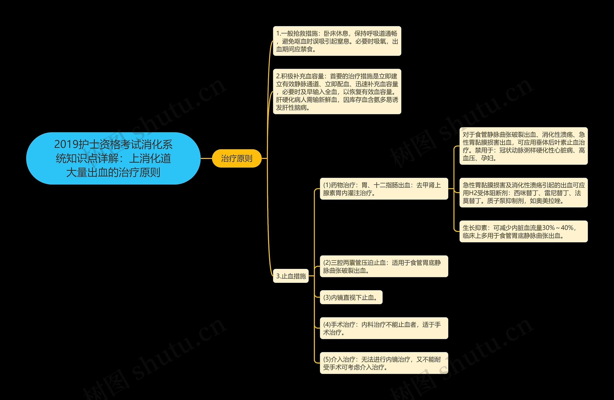 2019护士资格考试消化系统知识点详解：上消化道大量出血的治疗原则思维导图