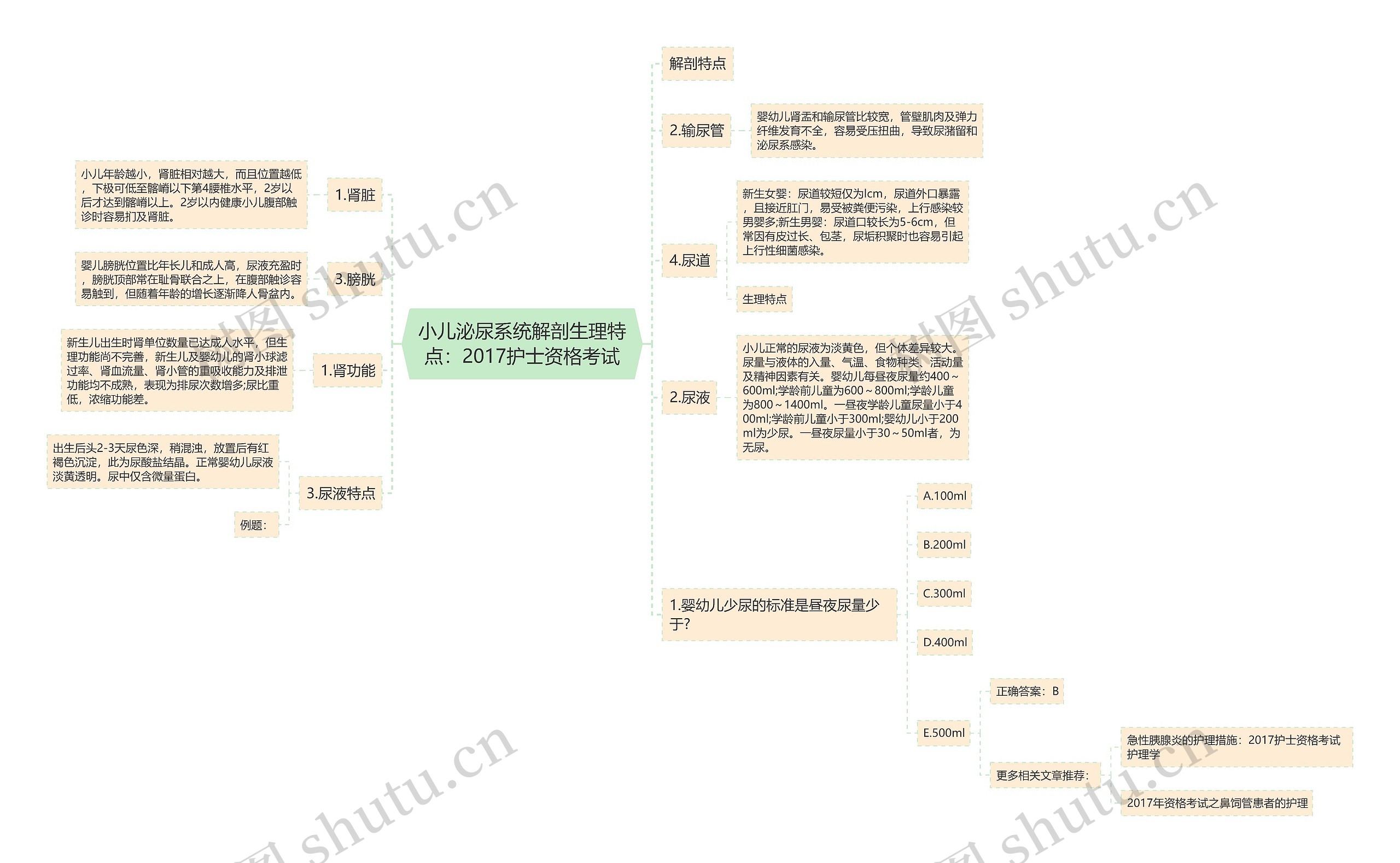 小儿泌尿系统解剖生理特点：2017护士资格考试思维导图