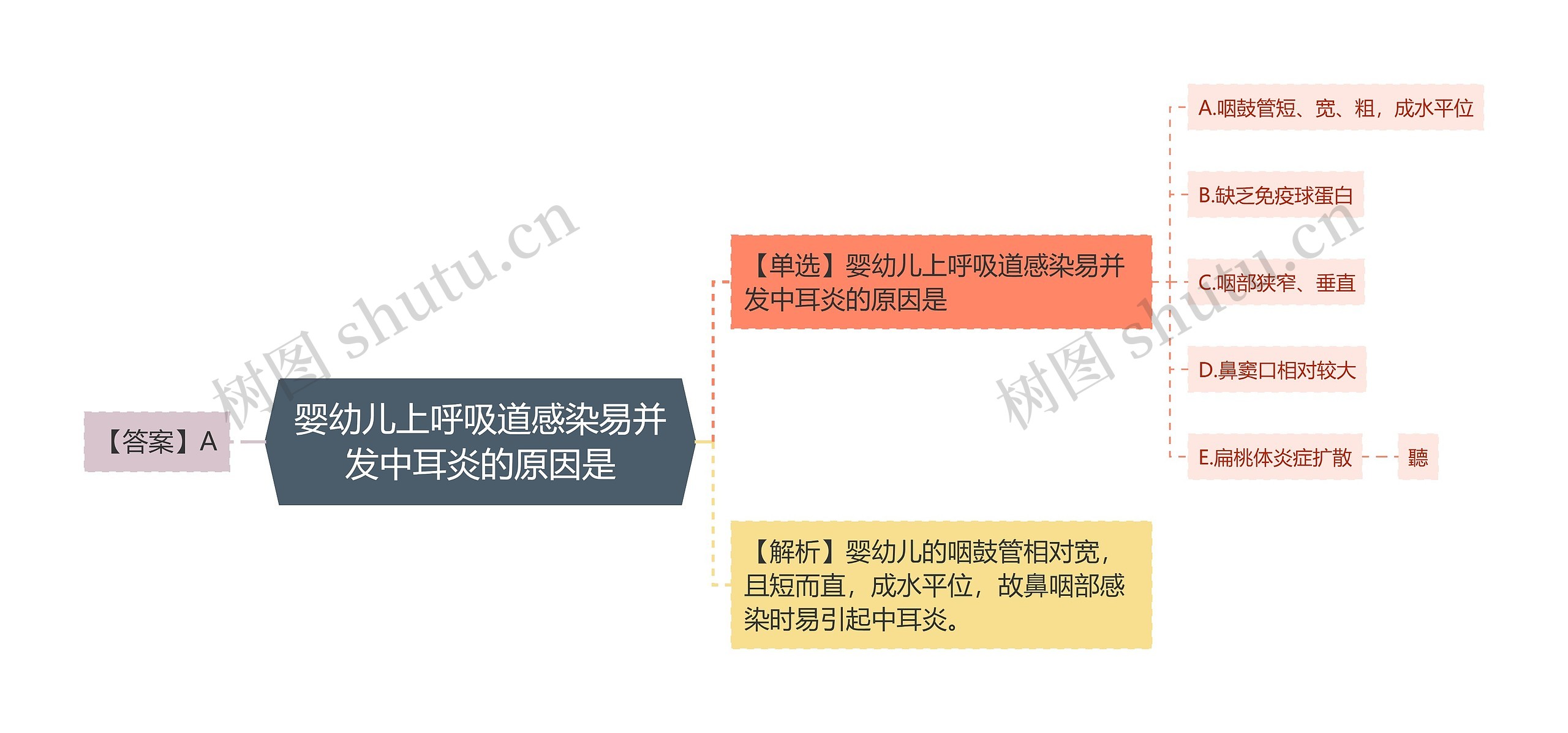 婴幼儿上呼吸道感染易并发中耳炎的原因是