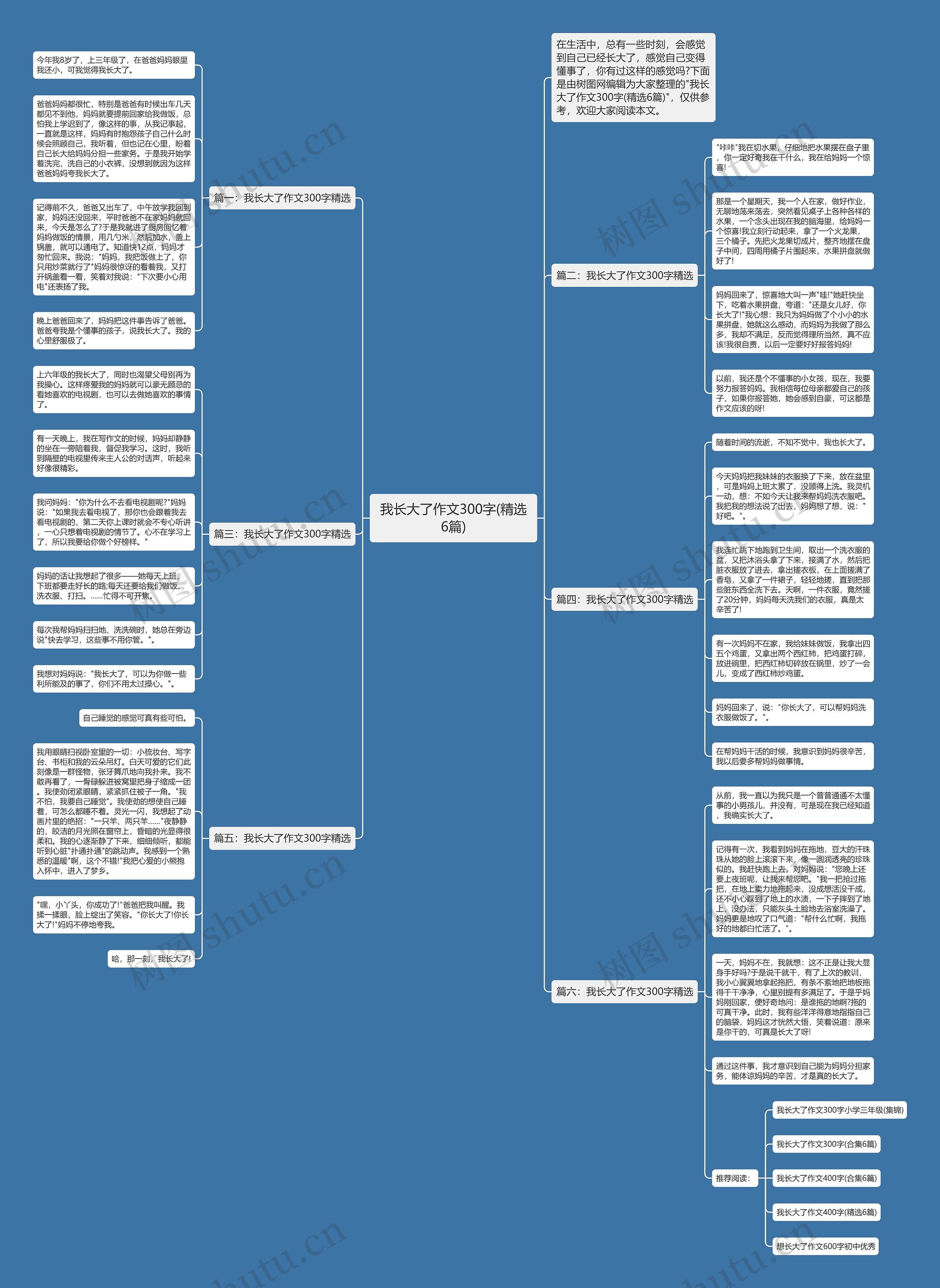 我长大了作文300字(精选6篇)思维导图