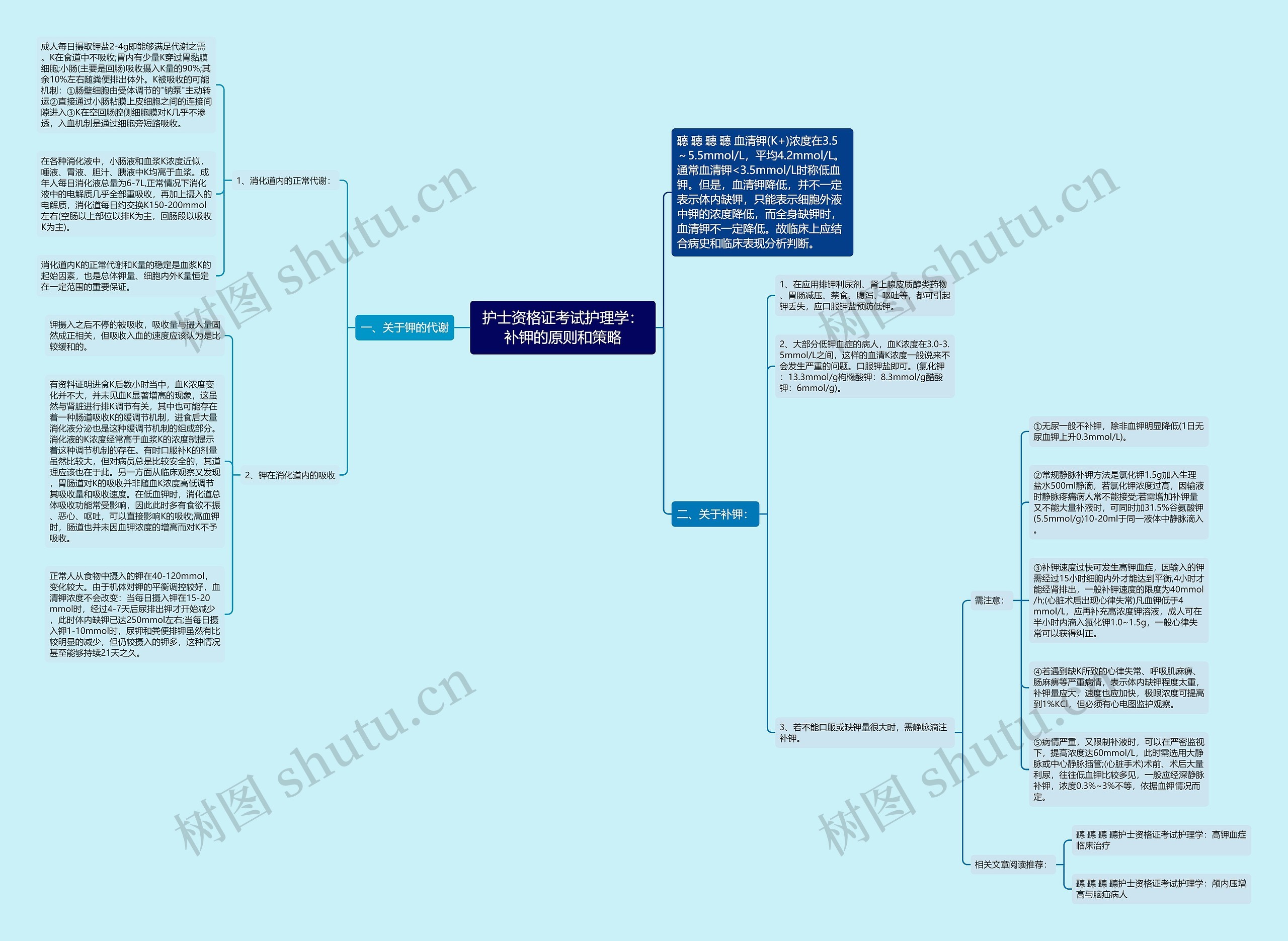 护士资格证考试护理学：补钾的原则和策略思维导图