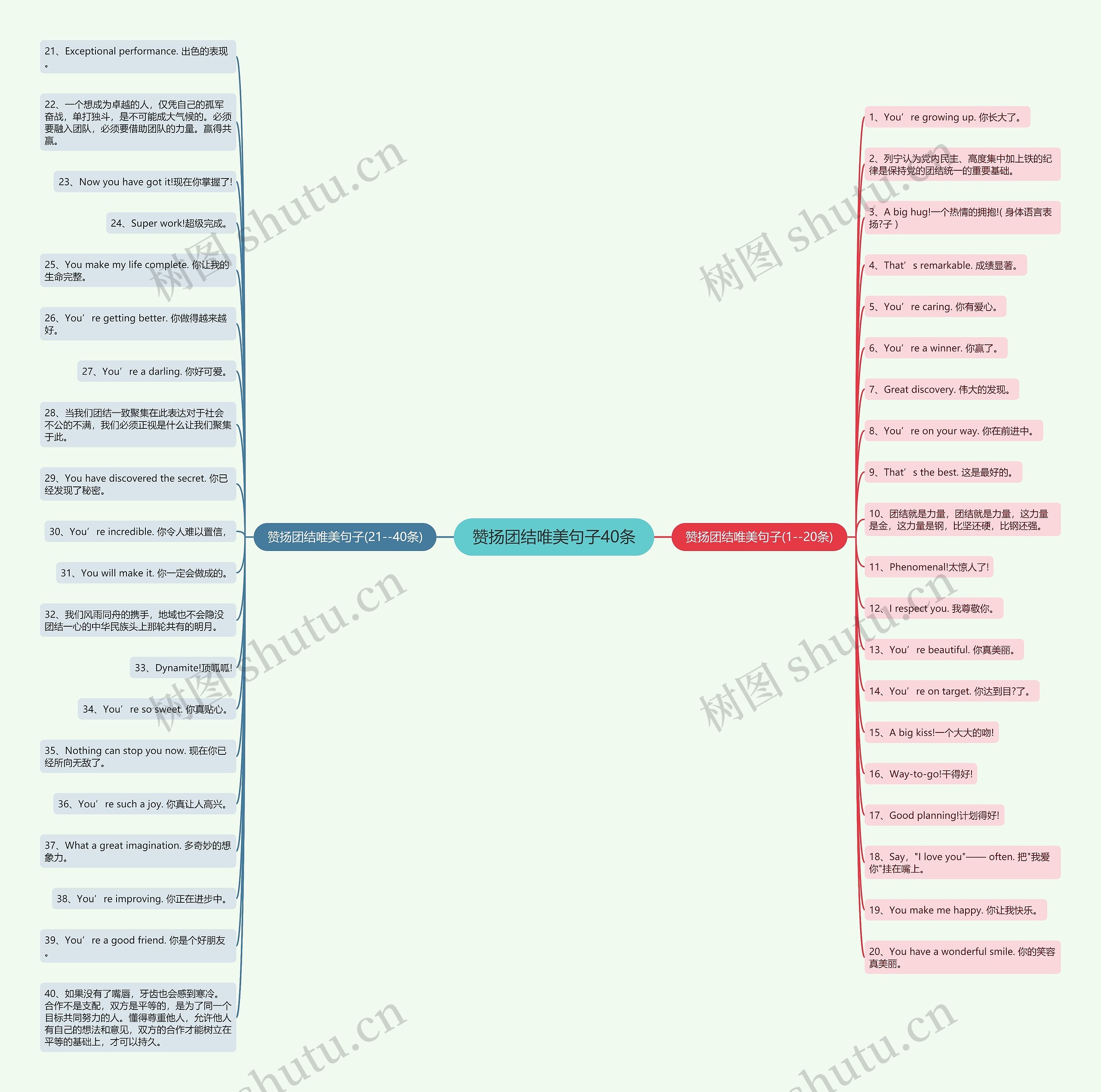赞扬团结唯美句子40条思维导图