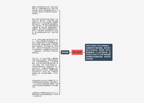 蜀鸡遇难