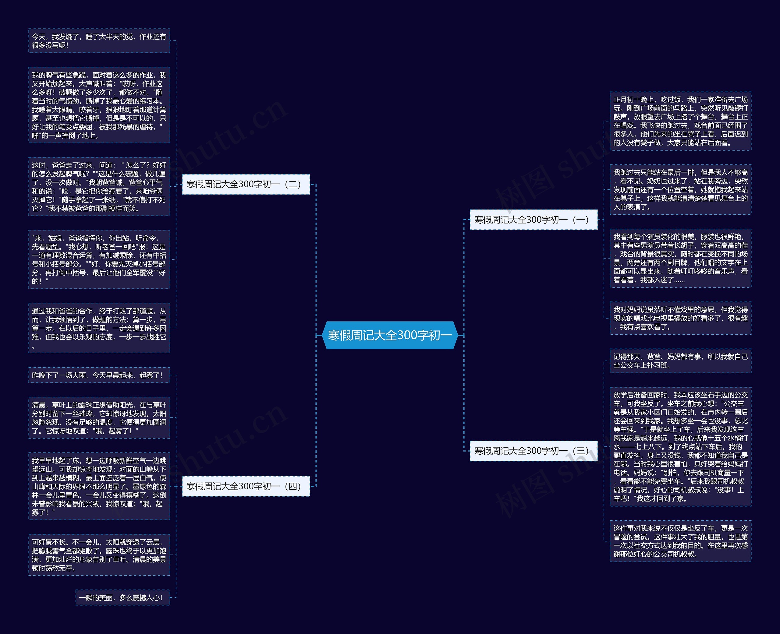 寒假周记大全300字初一思维导图