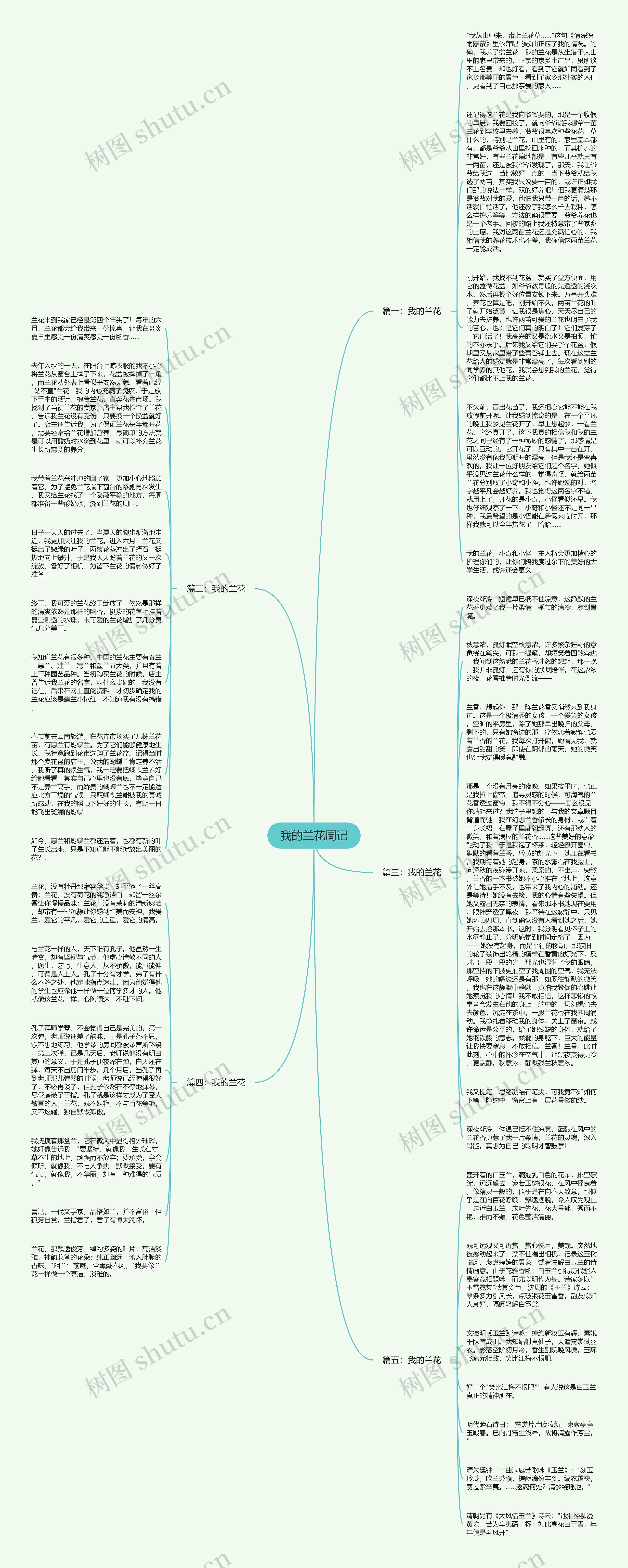 我的兰花周记思维导图