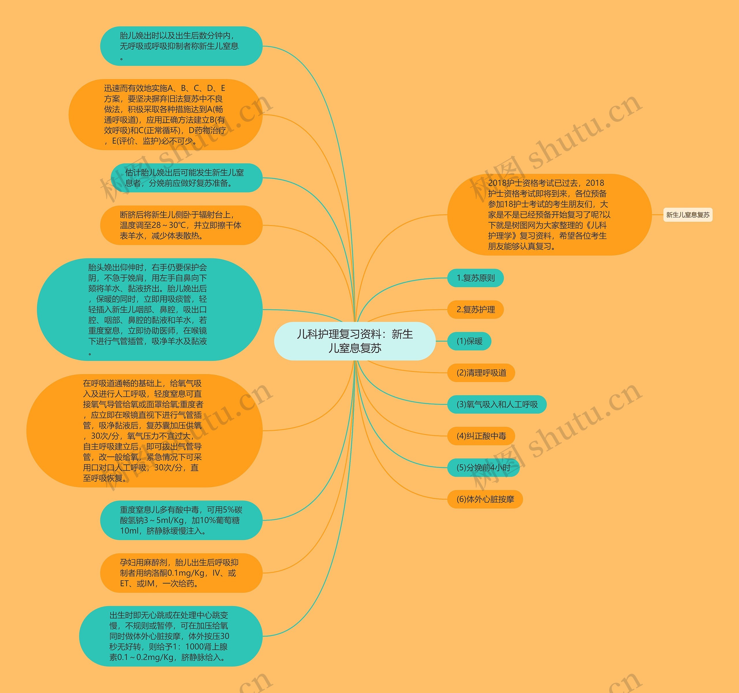 儿科护理复习资料：新生儿窒息复苏思维导图