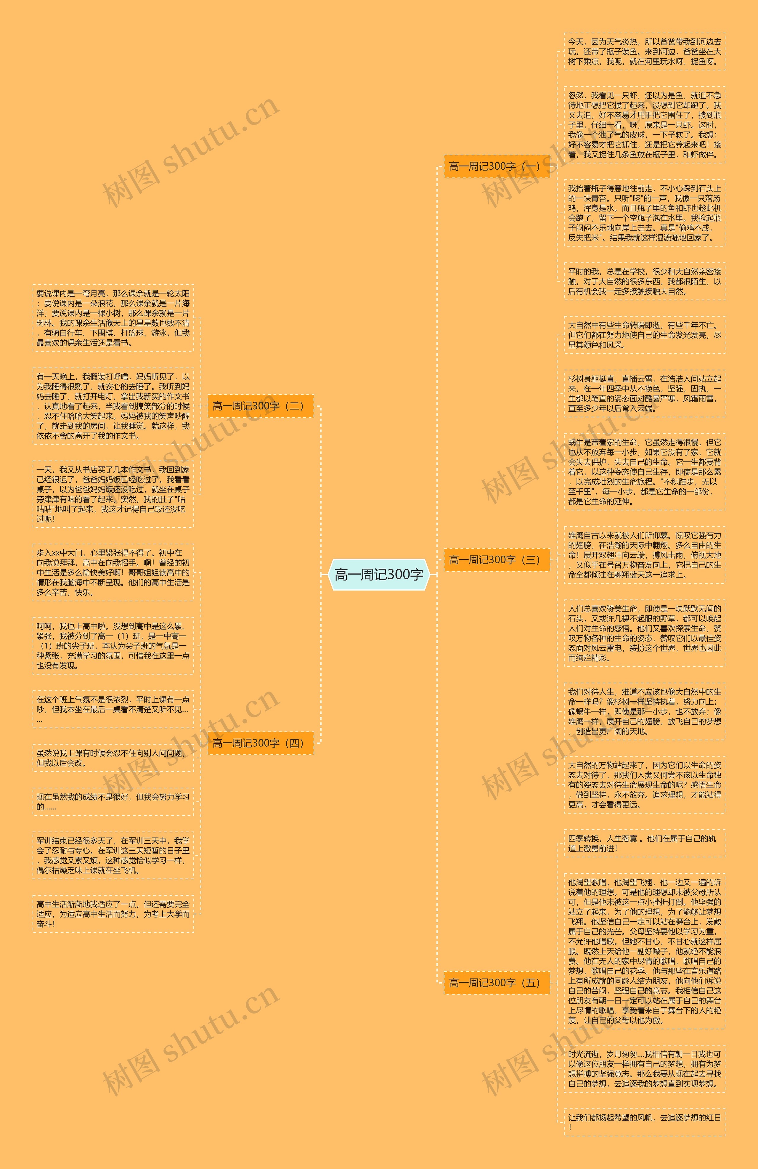 高一周记300字思维导图