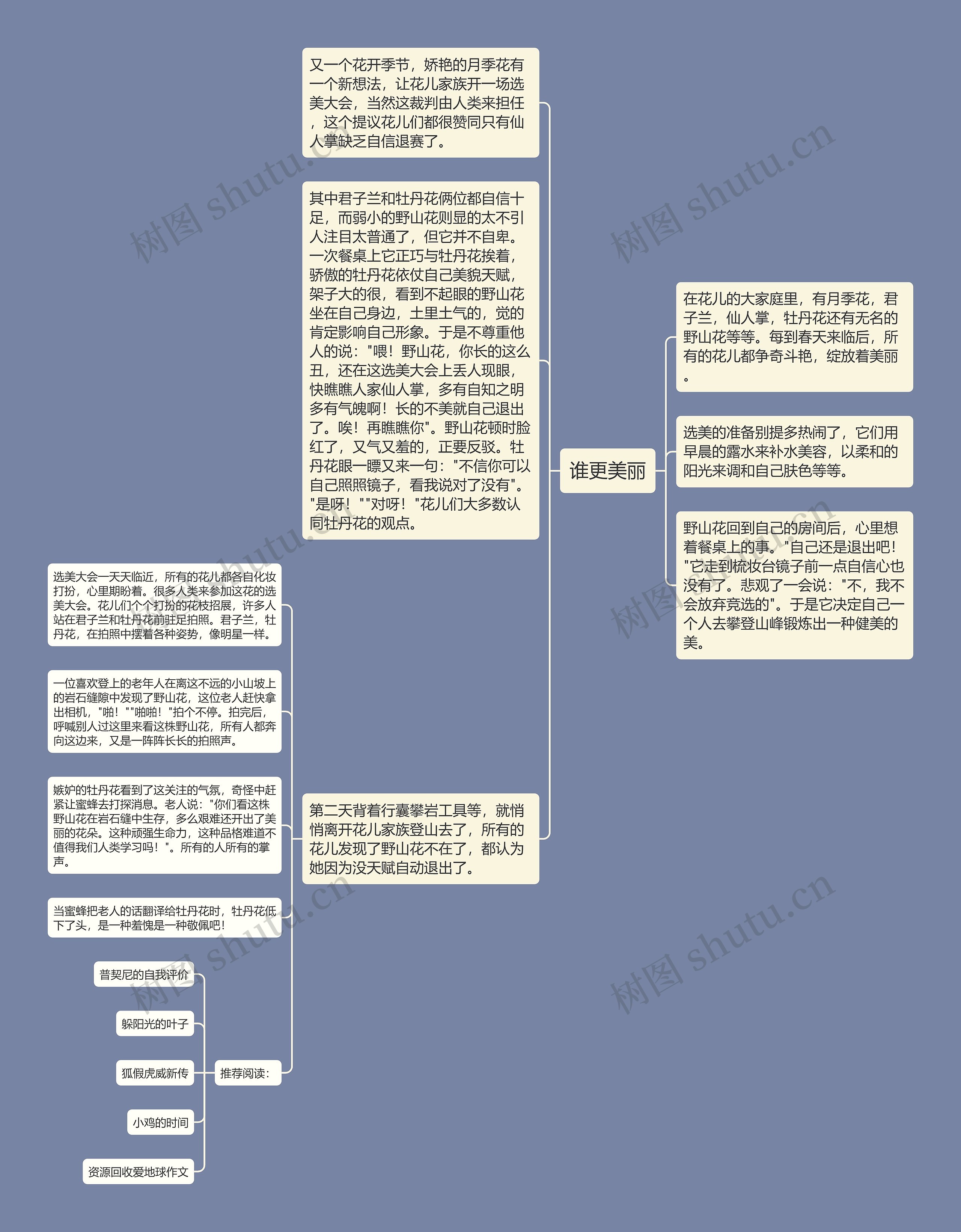 谁更美丽思维导图