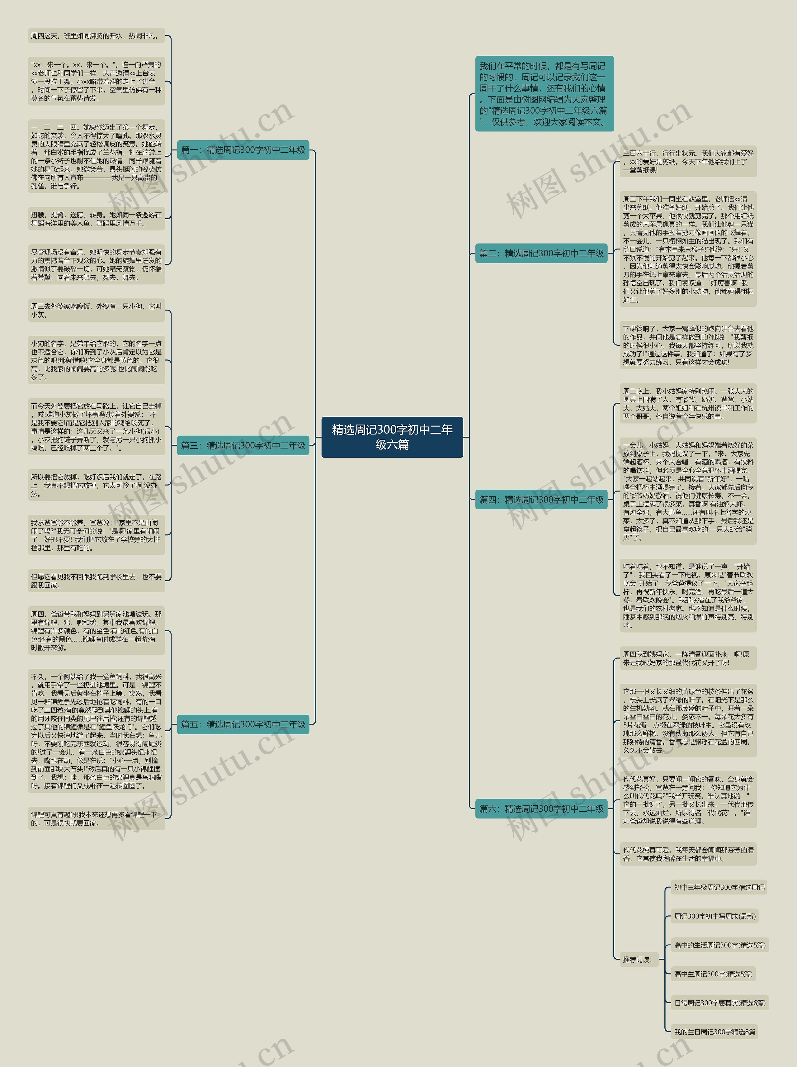 精选周记300字初中二年级六篇思维导图