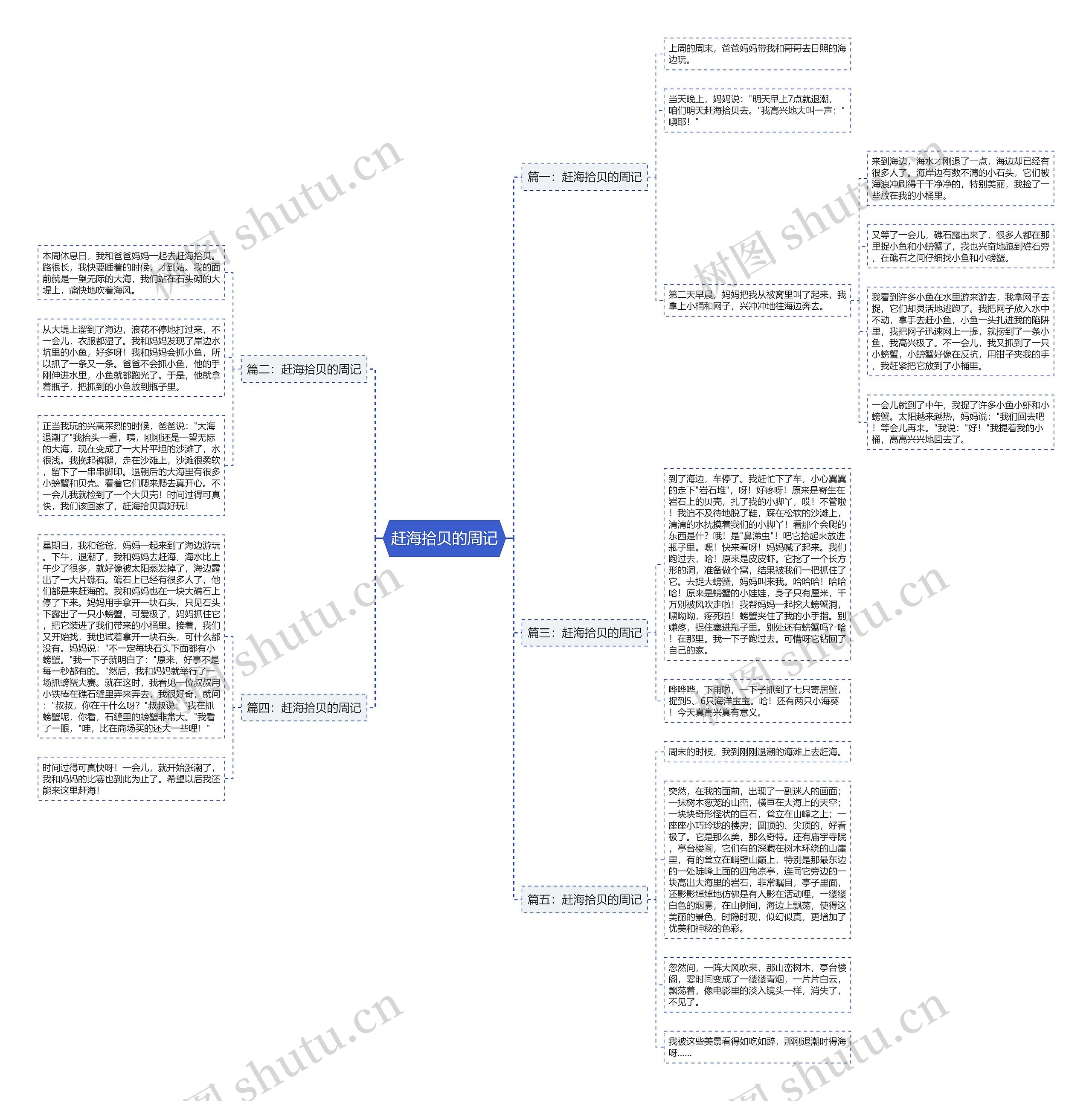 赶海拾贝的周记思维导图