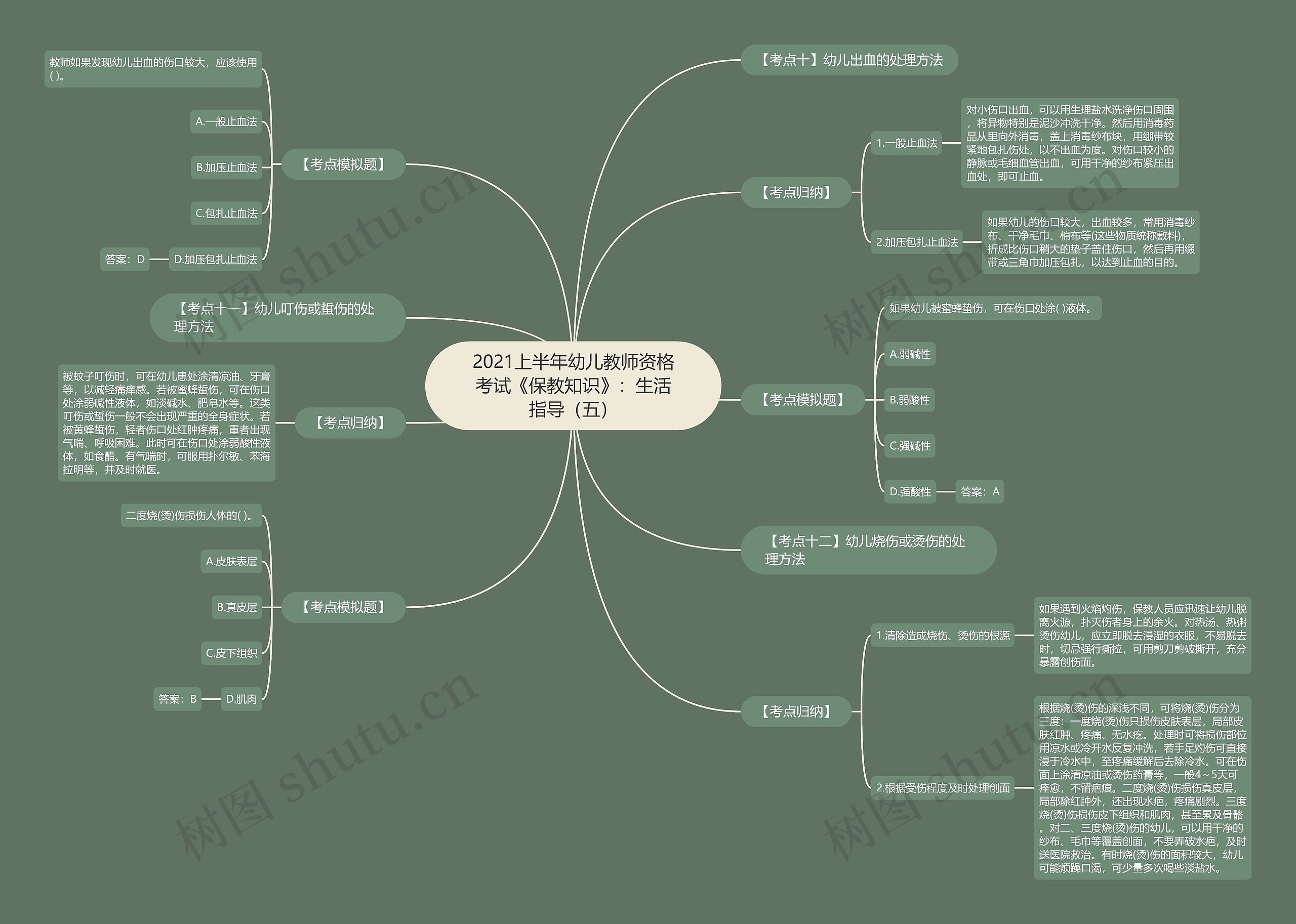 2021上半年幼儿教师资格考试《保教知识》：生活指导（五）思维导图