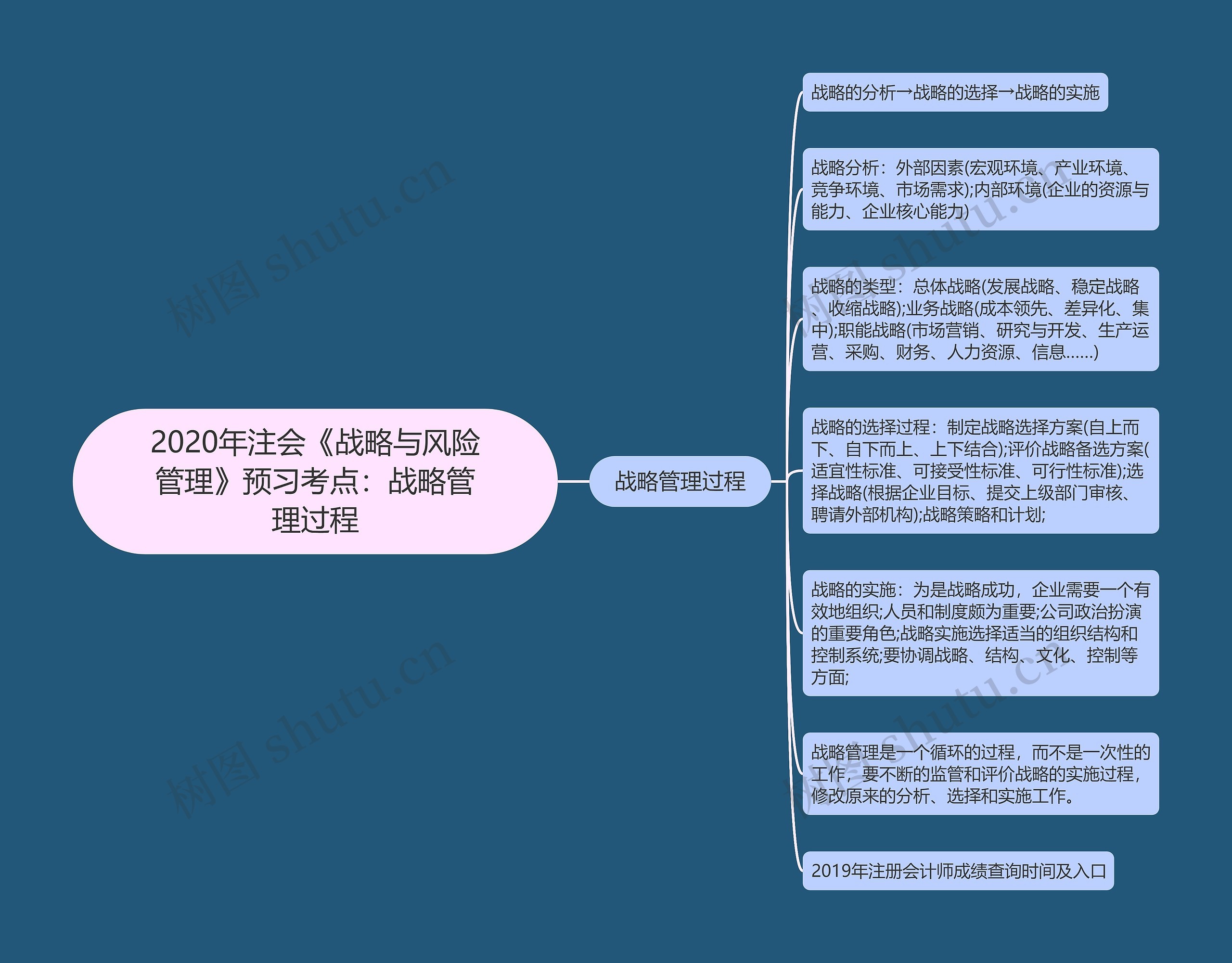 2020年注会《战略与风险管理》预习考点：战略管理过程