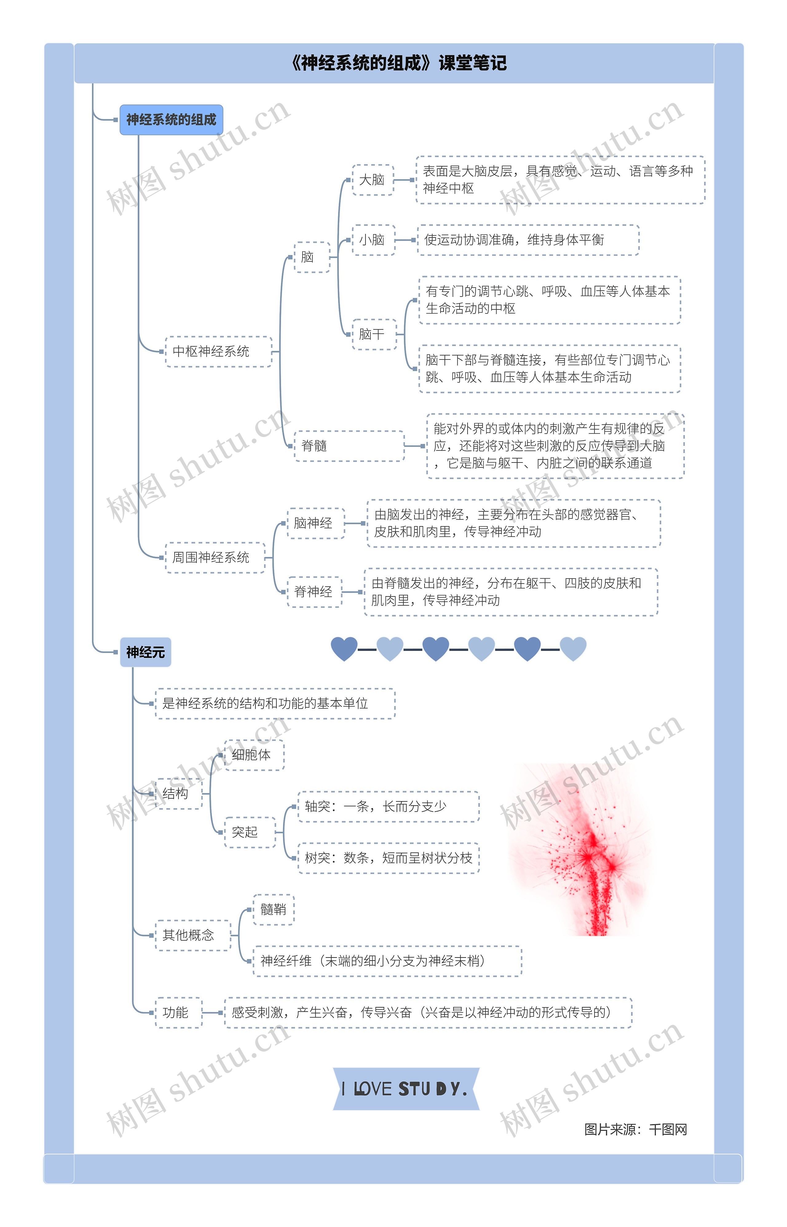 生物七年级下册第六章第二节《神经系统的组成》课堂笔记思维导图