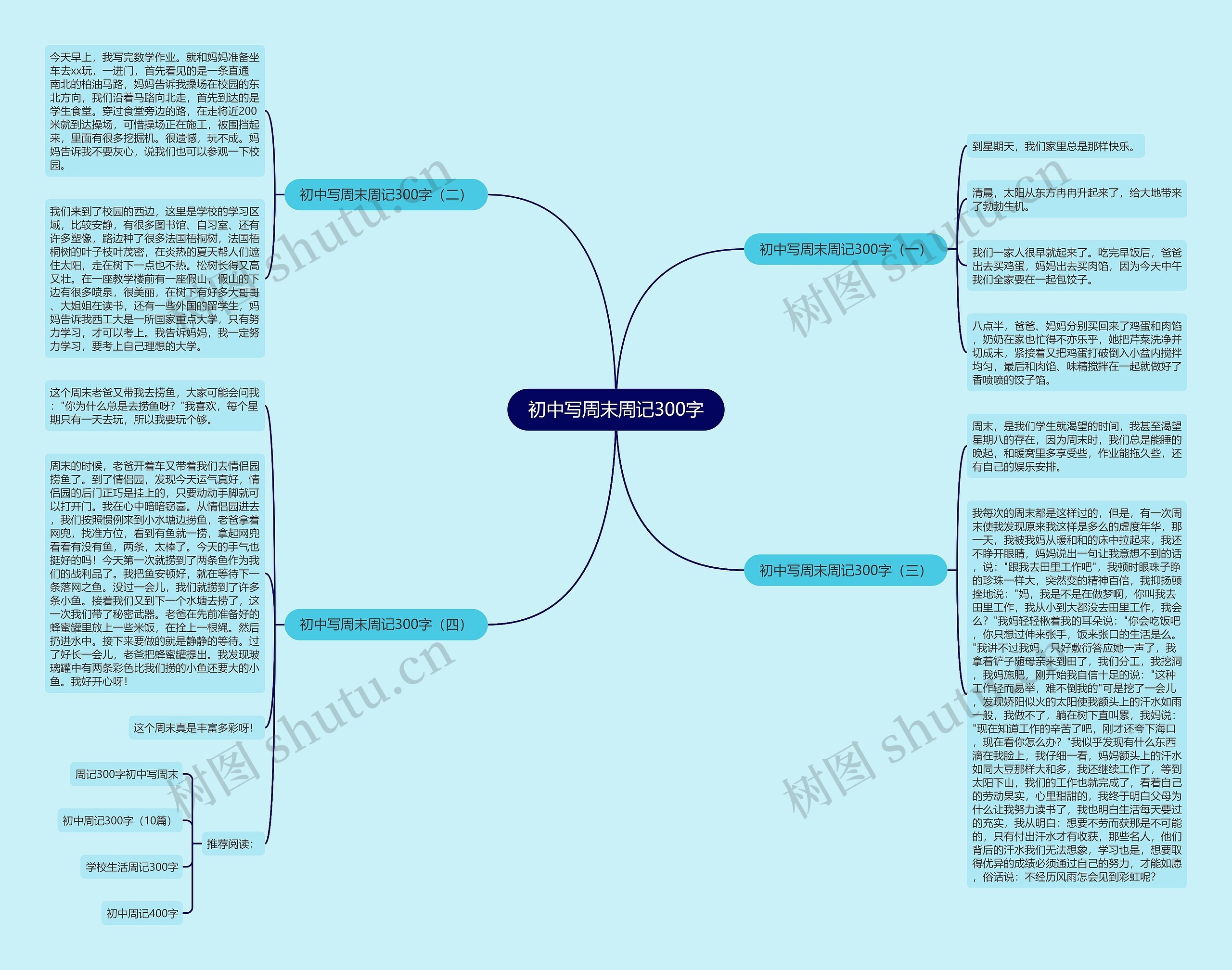 初中写周末周记300字