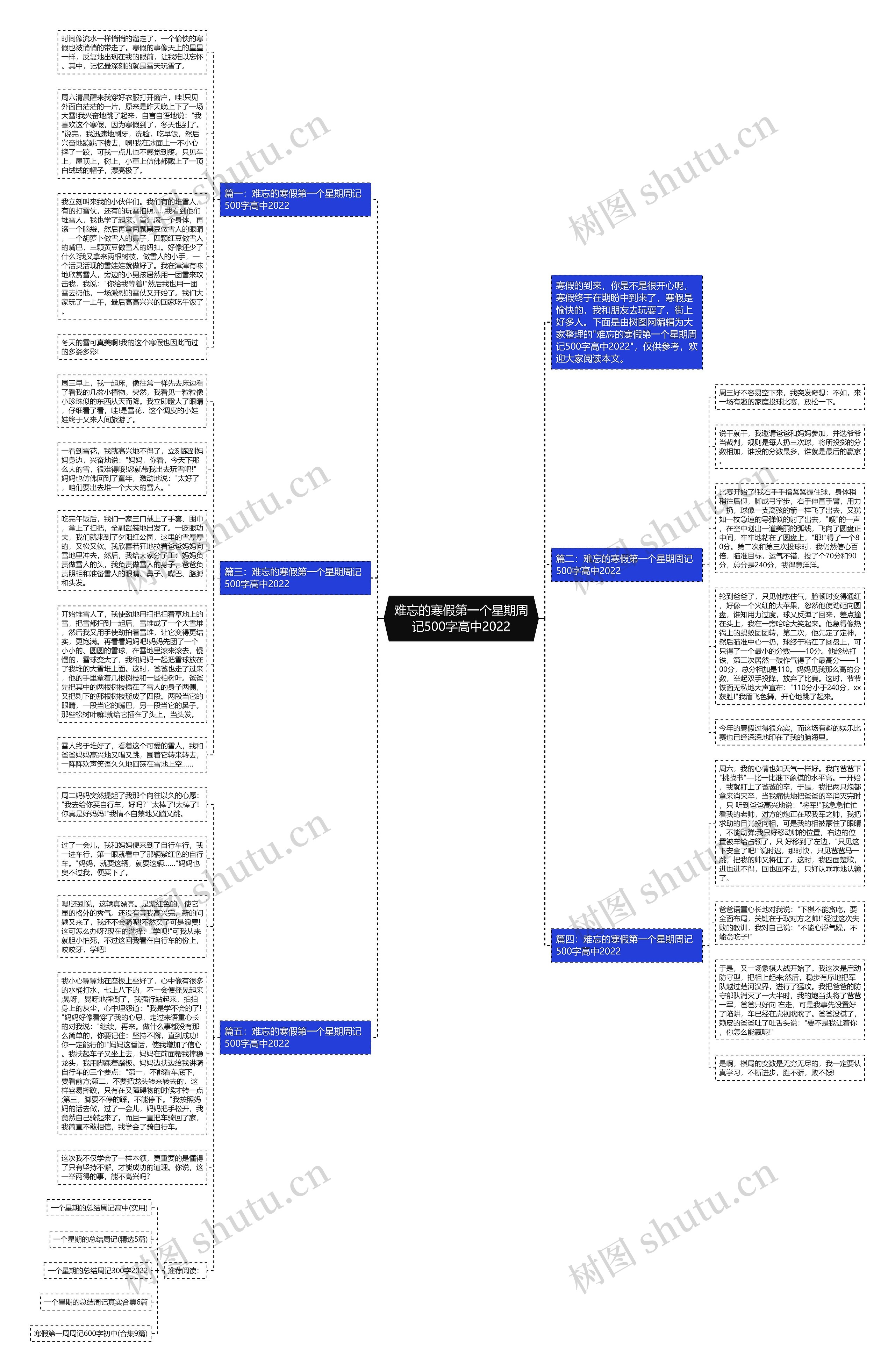 难忘的寒假第一个星期周记500字高中2022思维导图