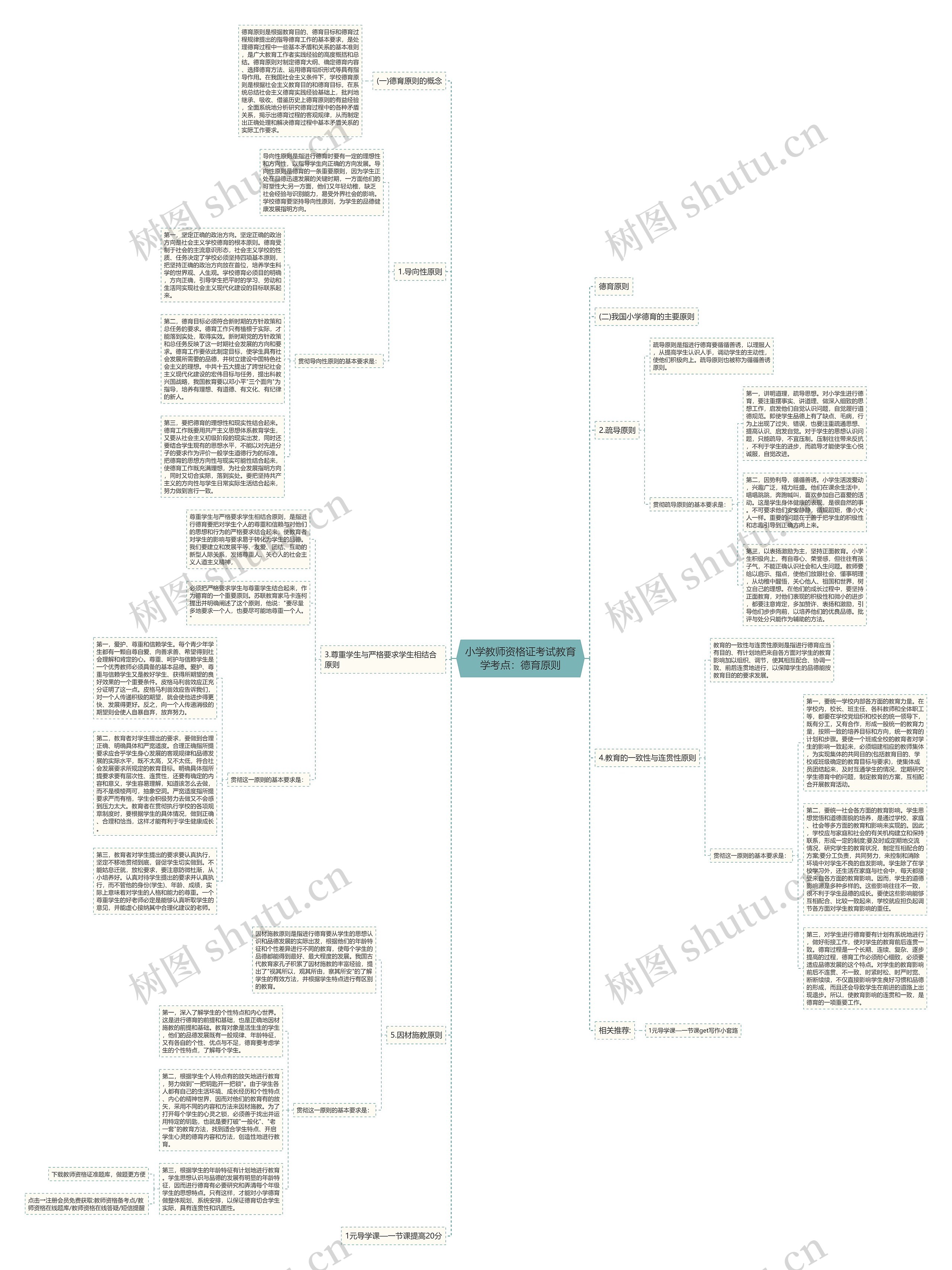 小学教师资格证考试教育学考点：德育原则思维导图
