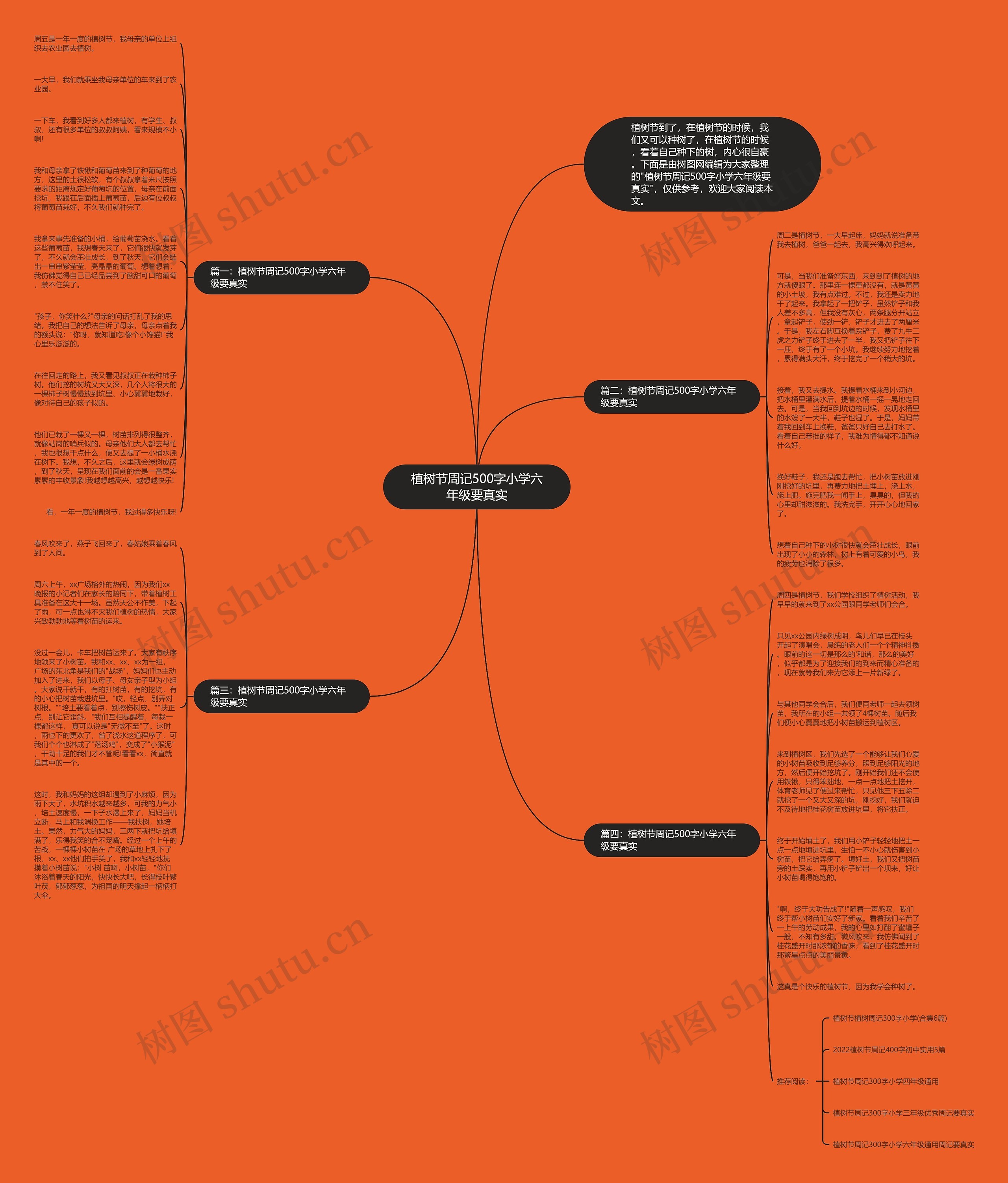 植树节周记500字小学六年级要真实思维导图