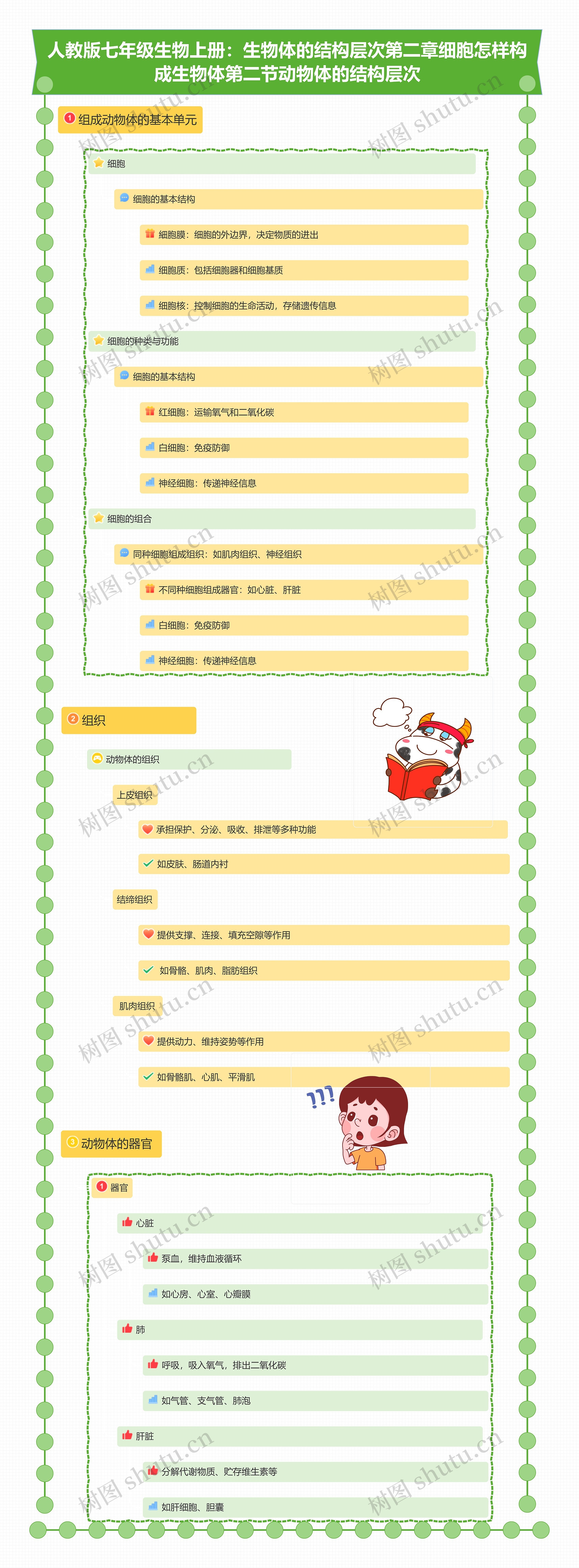 人教版七年级生物上册：生物体的结构层次第二章细胞怎样构成生物体第二节动物体的结构层次思维导图
