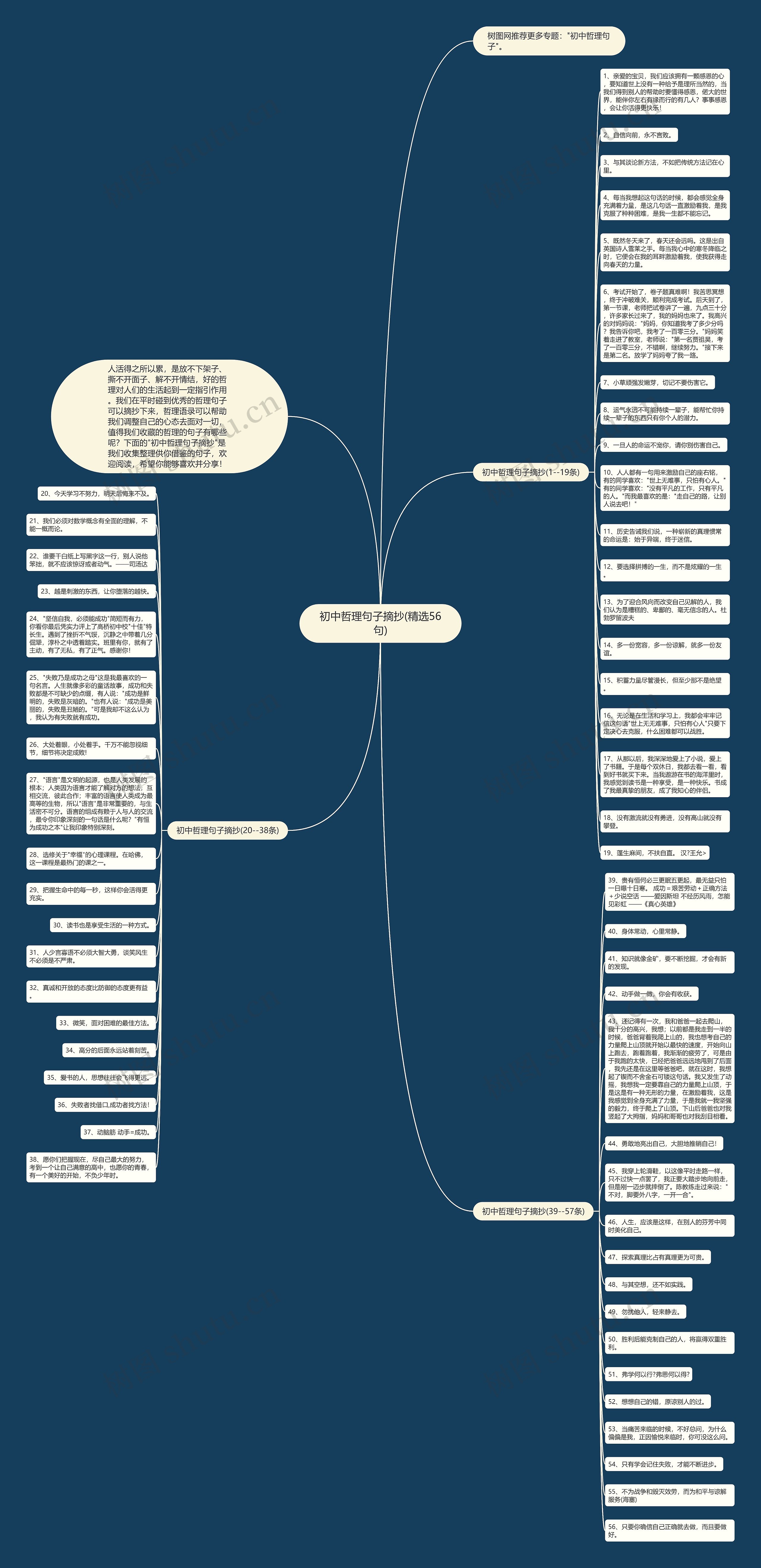 初中哲理句子摘抄(精选56句)思维导图