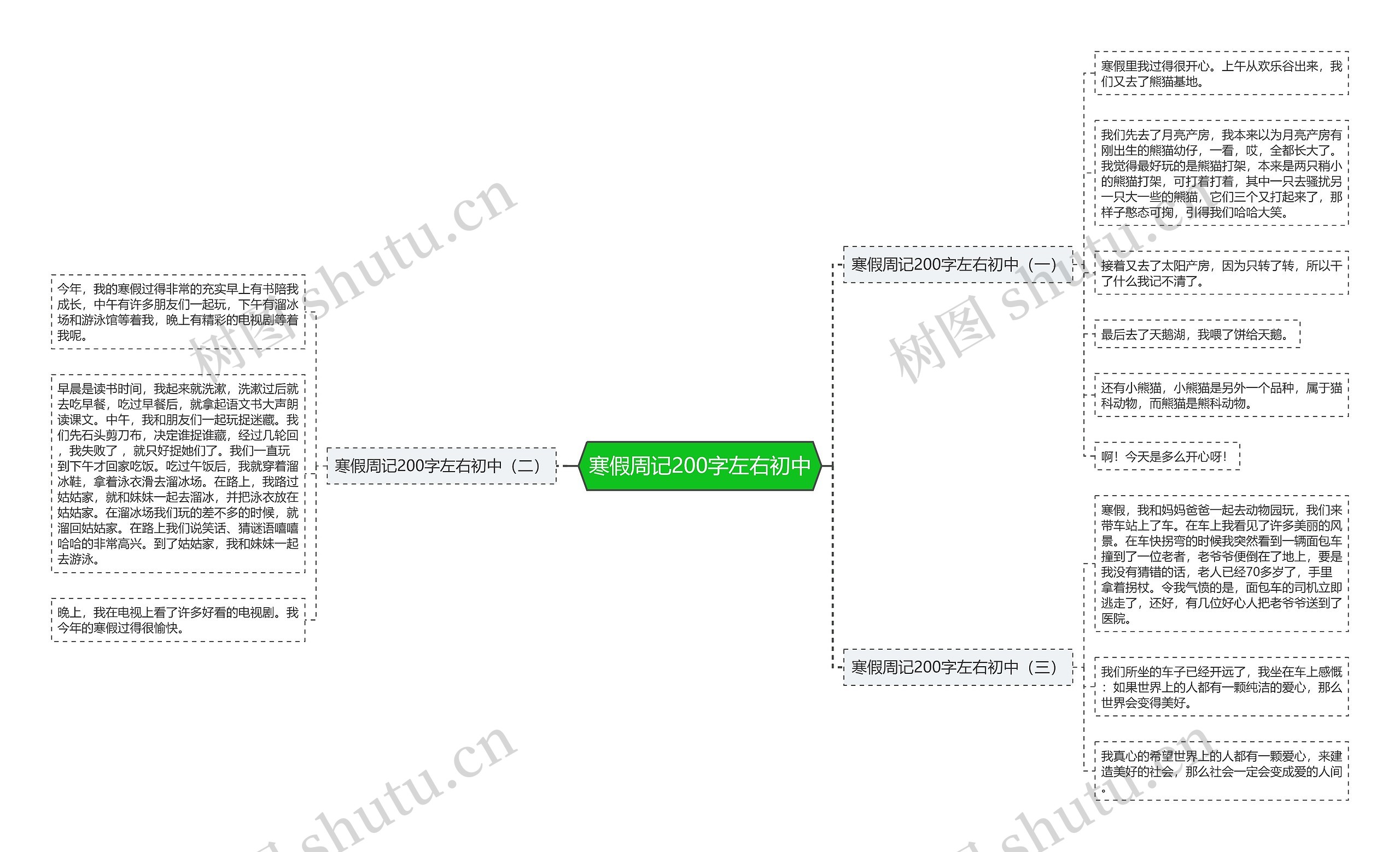 寒假周记200字左右初中思维导图
