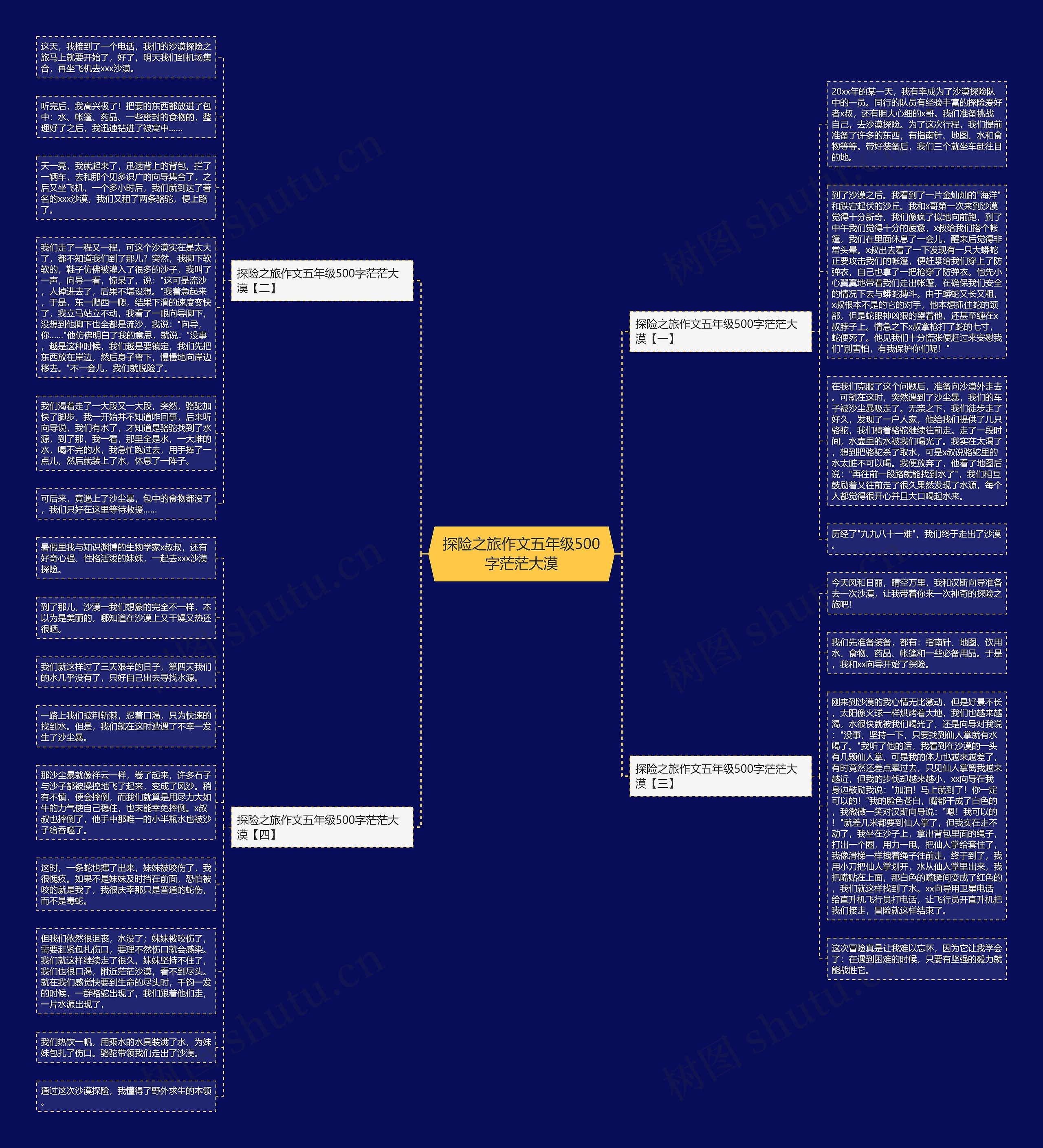 探险之旅作文五年级500字茫茫大漠思维导图