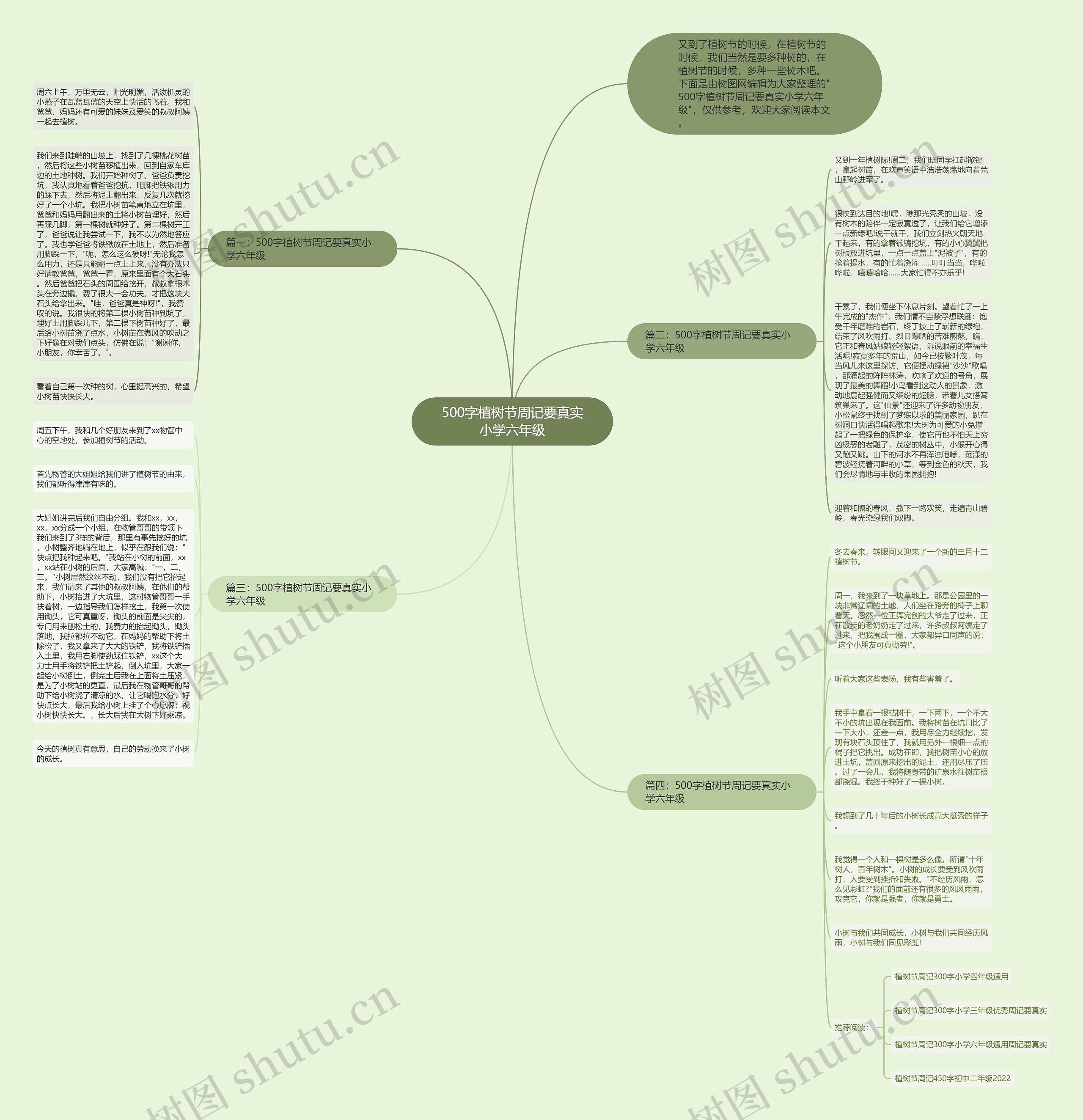 500字植树节周记要真实小学六年级思维导图