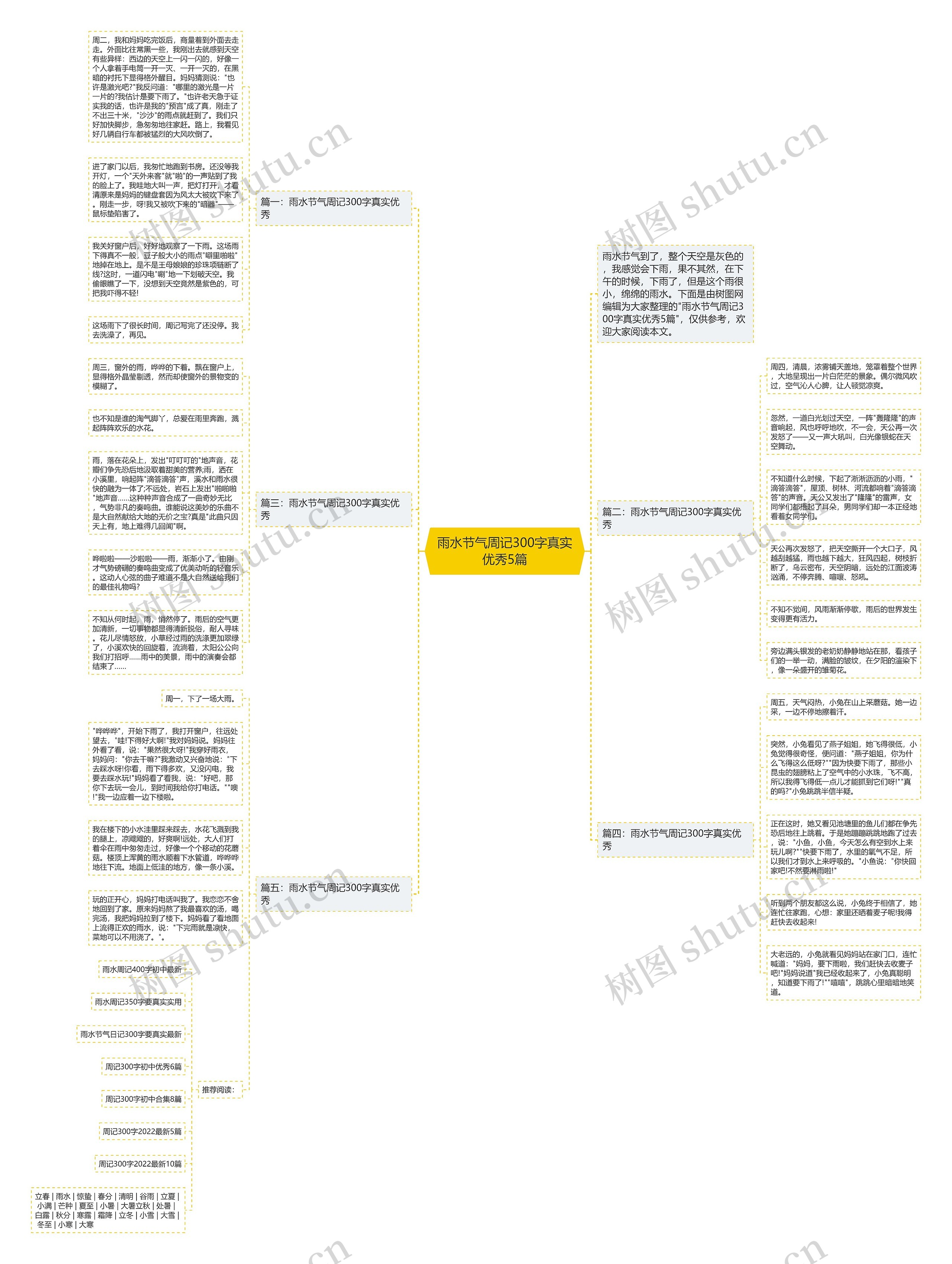 雨水节气周记300字真实优秀5篇思维导图