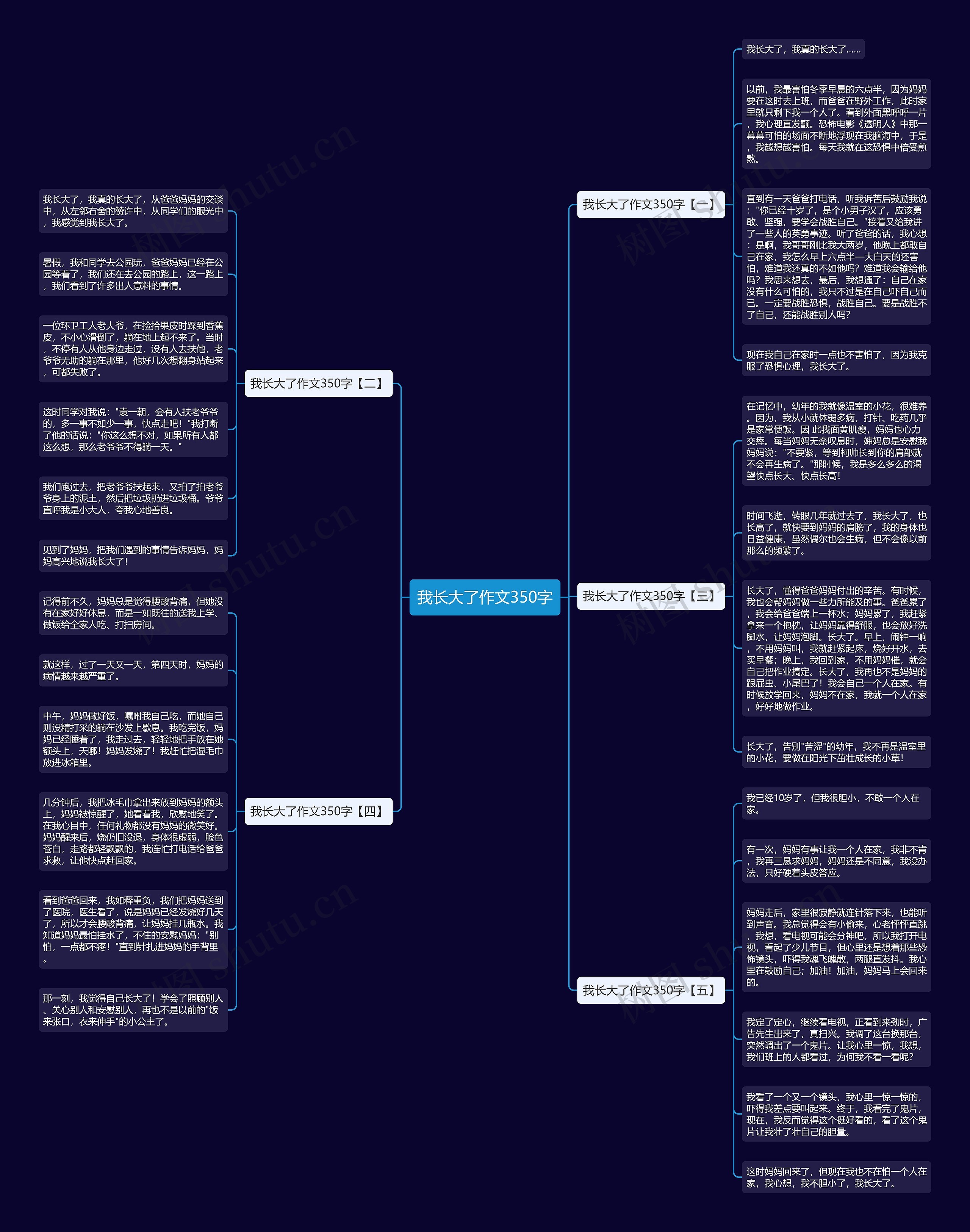 我长大了作文350字思维导图