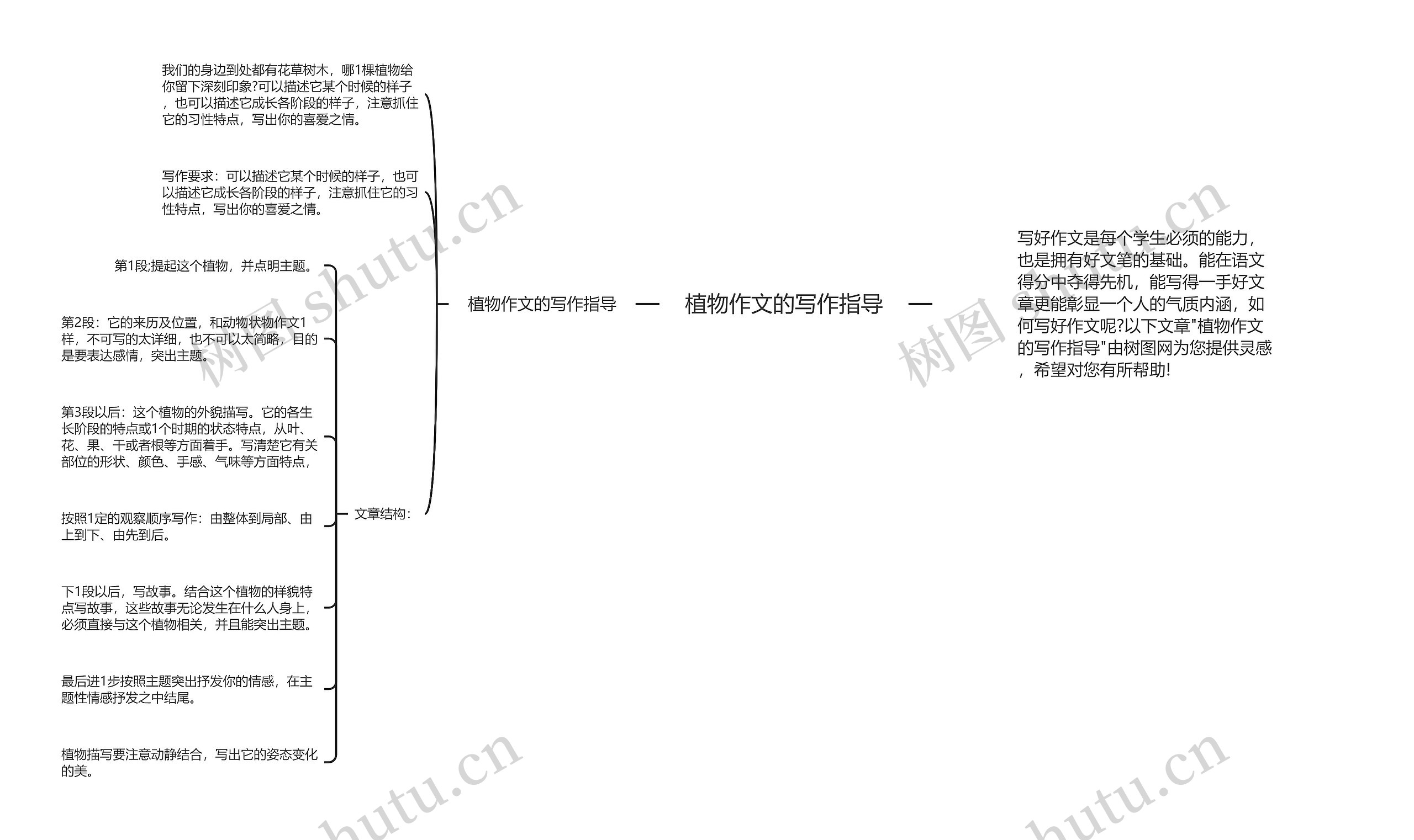 植物作文的写作指导思维导图