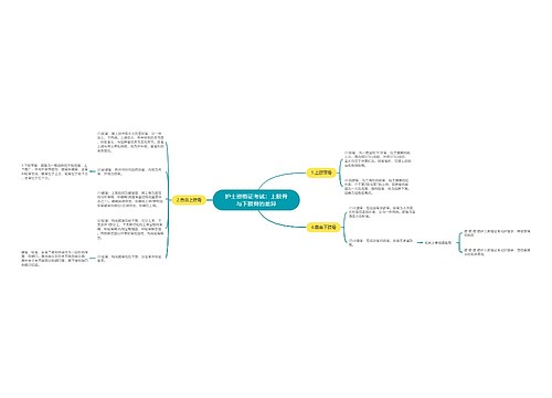 护士资格证考试：上肢骨与下肢骨的差异思维导图
