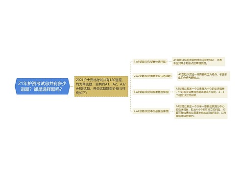 21年护资考试总共有多少道题？都是选择题吗？