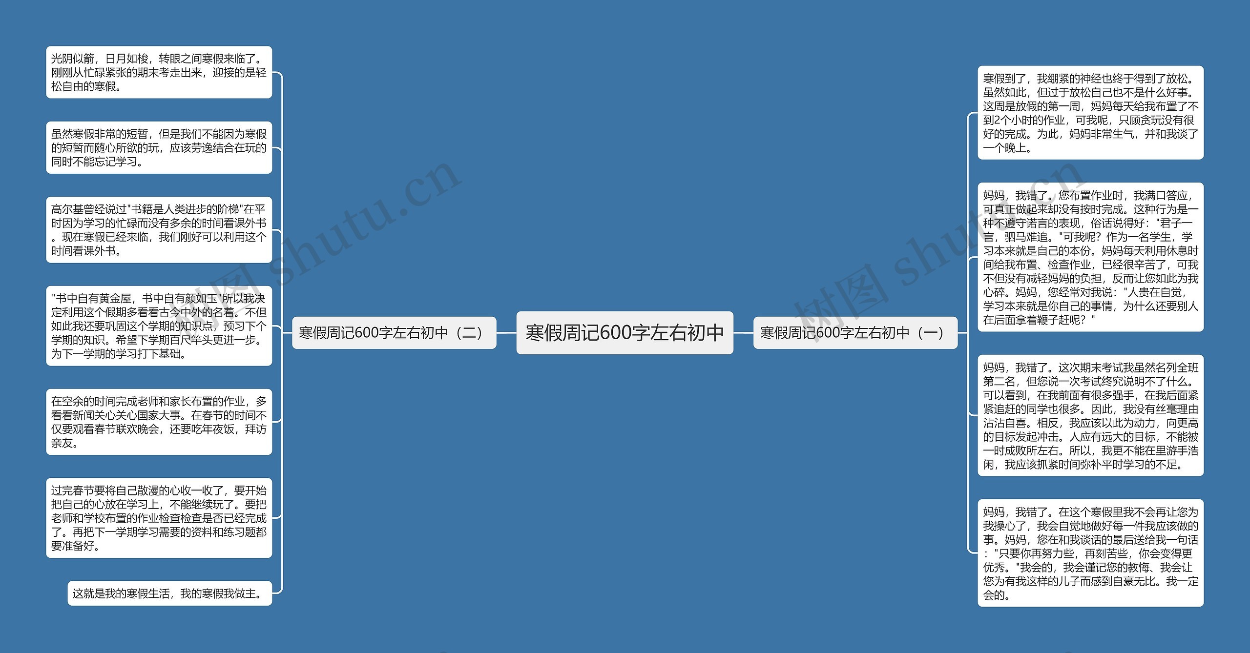 寒假周记600字左右初中思维导图