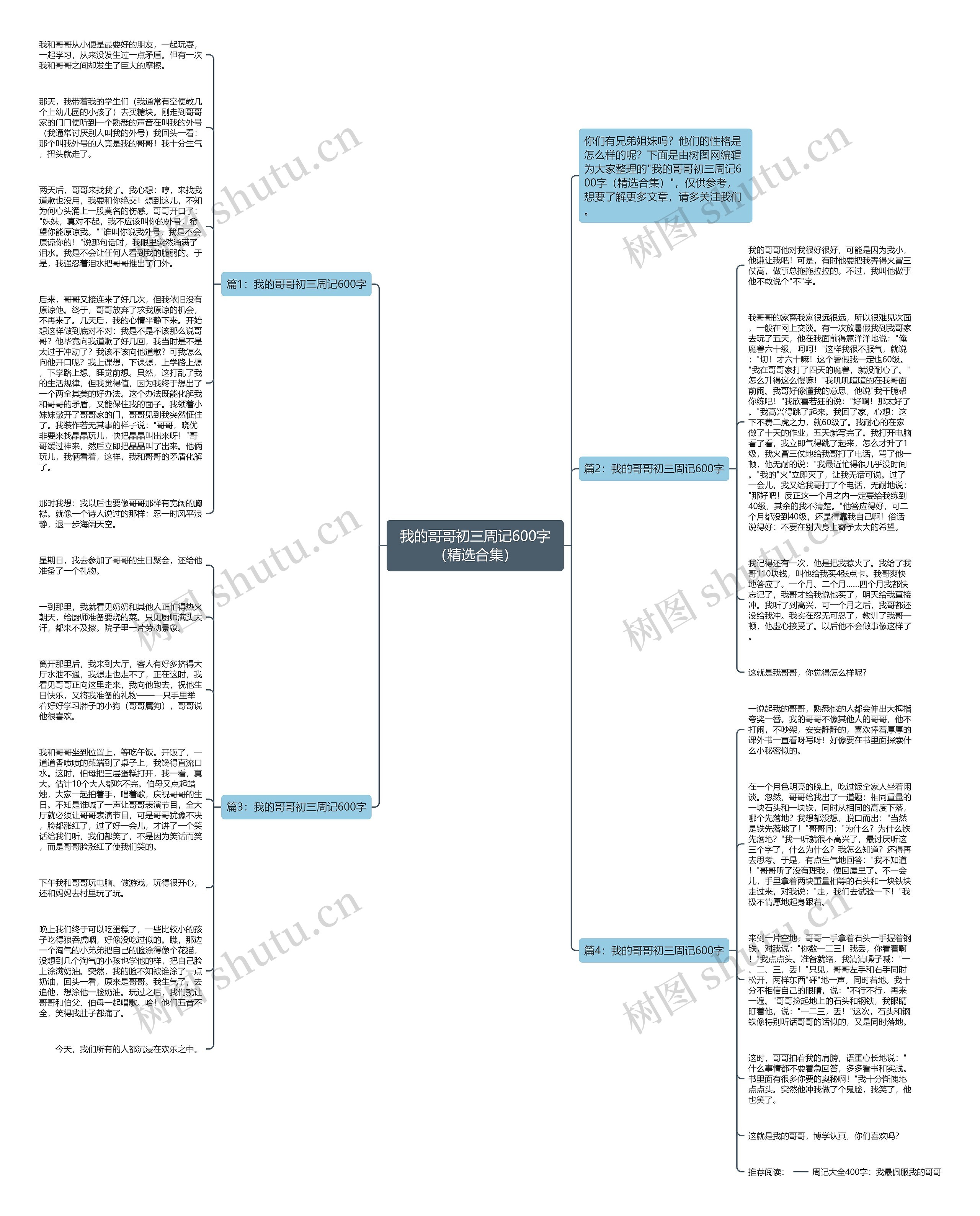 我的哥哥初三周记600字（精选合集）思维导图